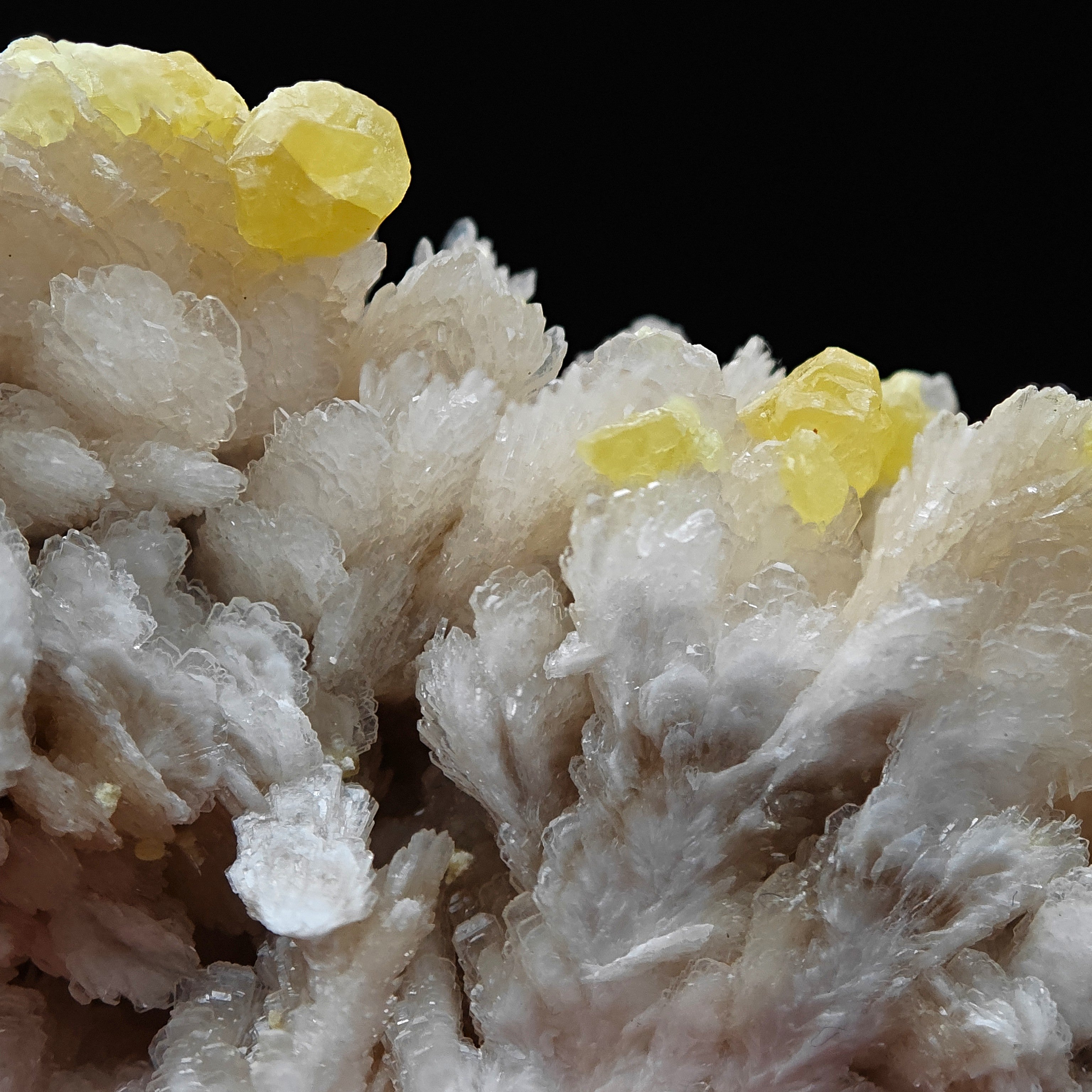 SULFUR & BARYTE – Vivid Yellow Crystals on white Baryte, Machów, Poland
