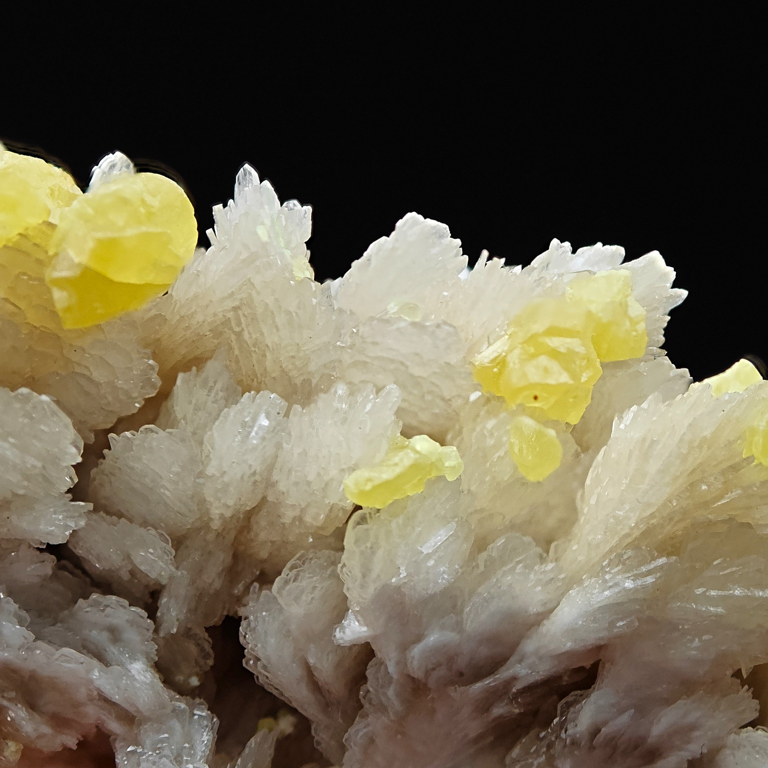 SULFUR & BARYTE – Vivid Yellow Crystals on white Baryte, Machów, Poland