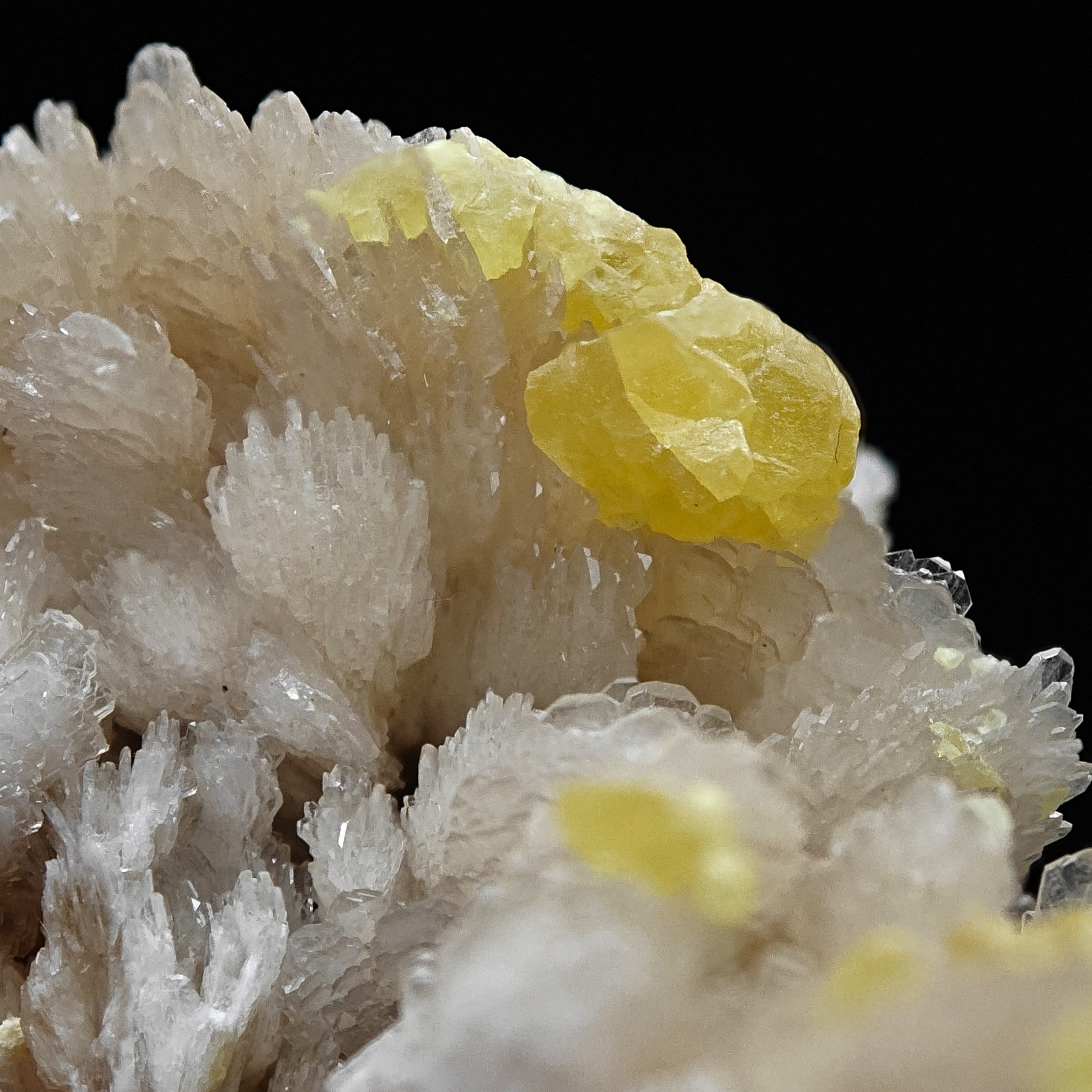 SULFUR & BARYTE – Vivid Yellow Crystals on white Baryte, Machów, Poland