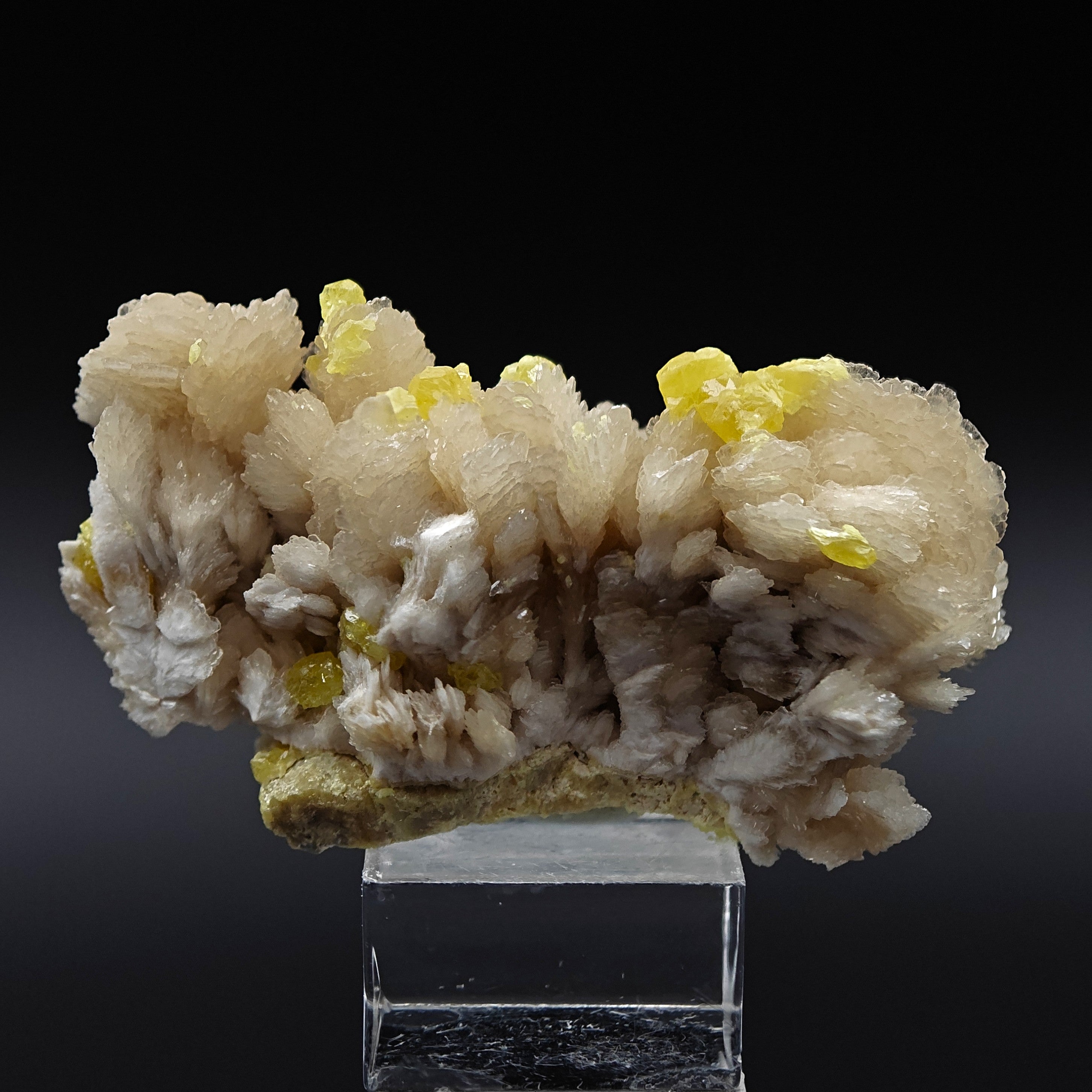 SULFUR & BARYTE – Vivid Yellow Crystals on white Baryte, Machów, Poland