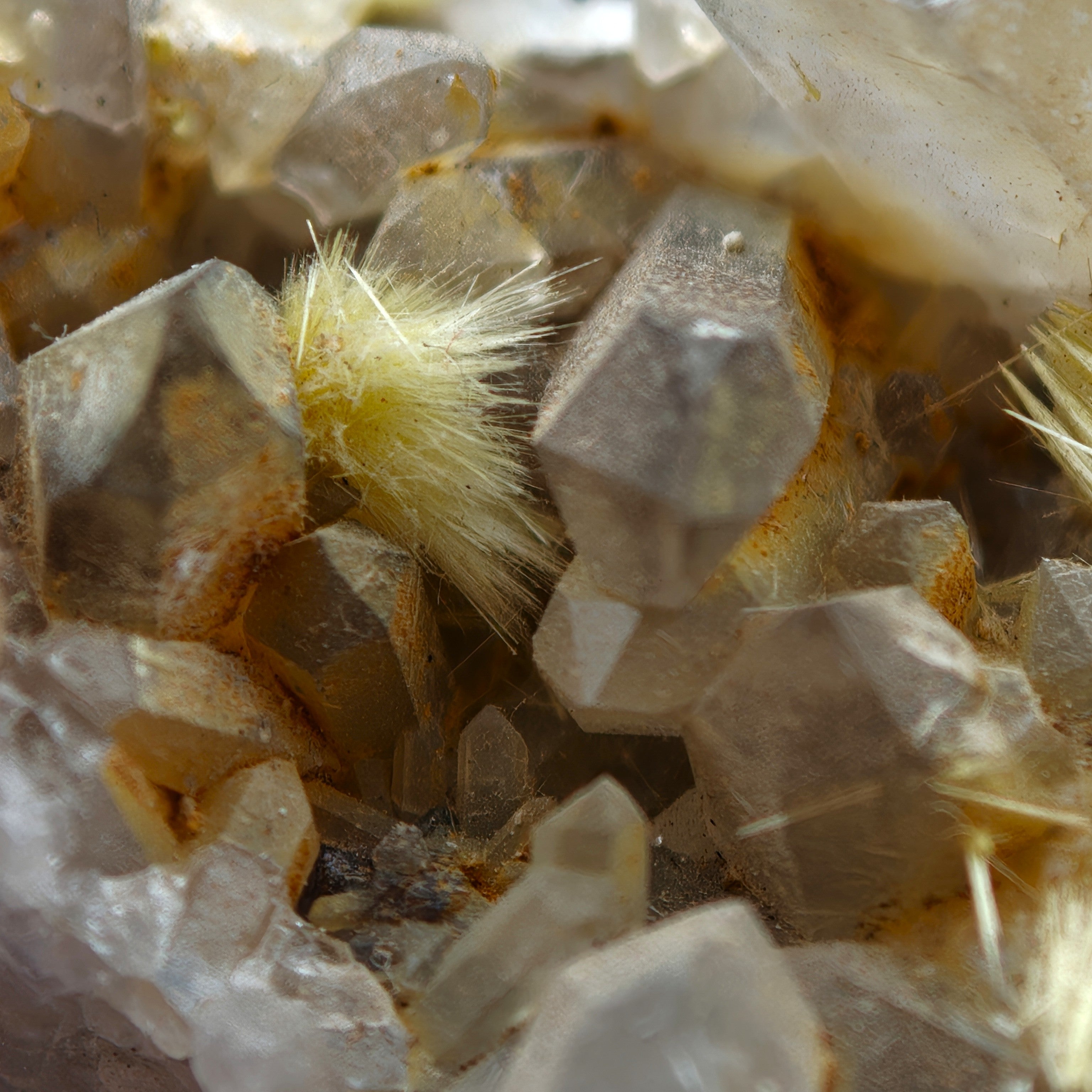 URANIUM URANOPHANE – UV-Reactive Yellow Crystals on Matrix, Rössing Mine, Namibia