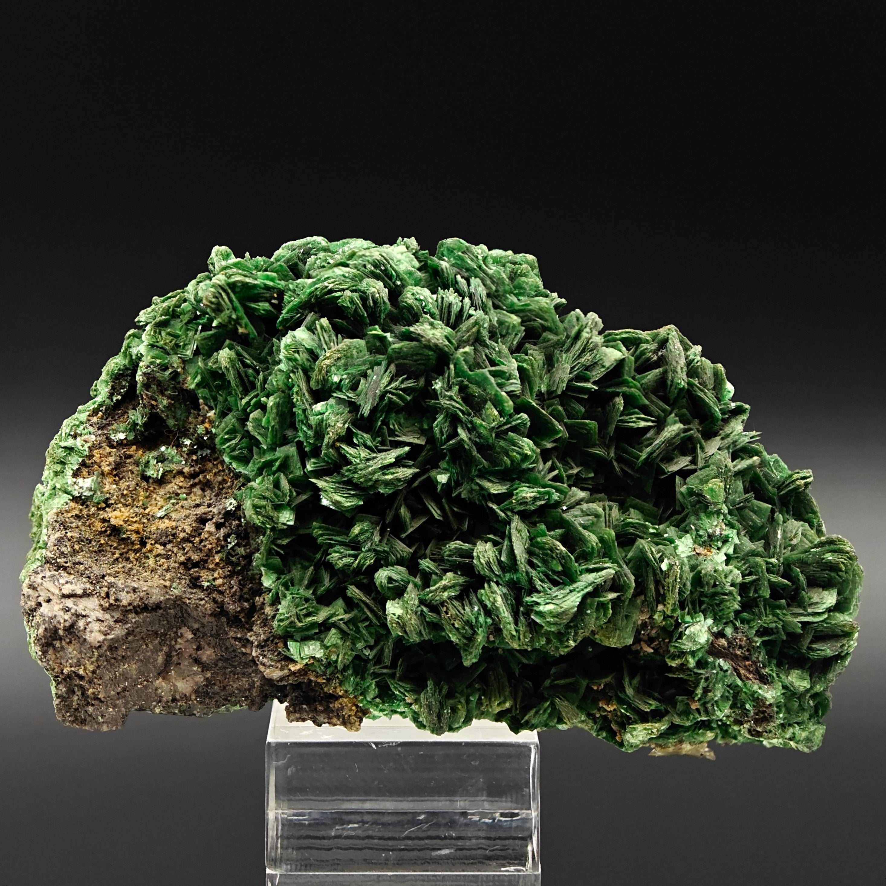 URANIUM TORBERNITE – Extremely Rare Green Crystal Cluster from Shinkolobwe Mine, DR Congo