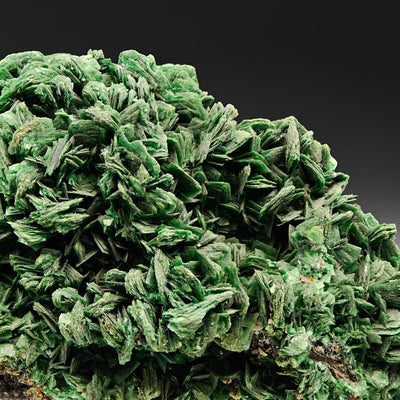 Dense torbernite crystal mass, close-up view, Shinkolobwe Mine, DR Congo