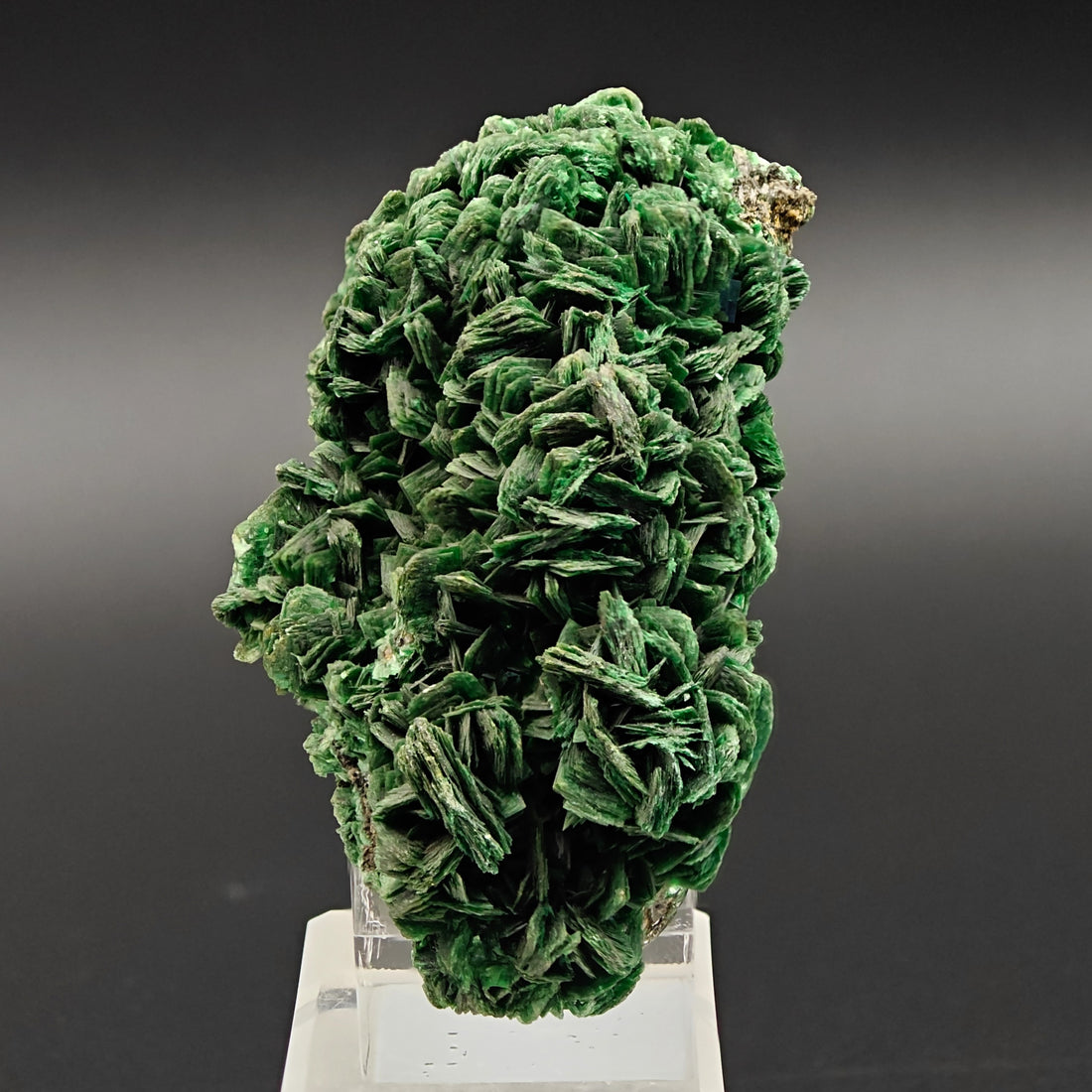 URANIUM TORBERNITE – Extremely Rare Green Crystal Cluster from Shinkolobwe Mine, DR Congo