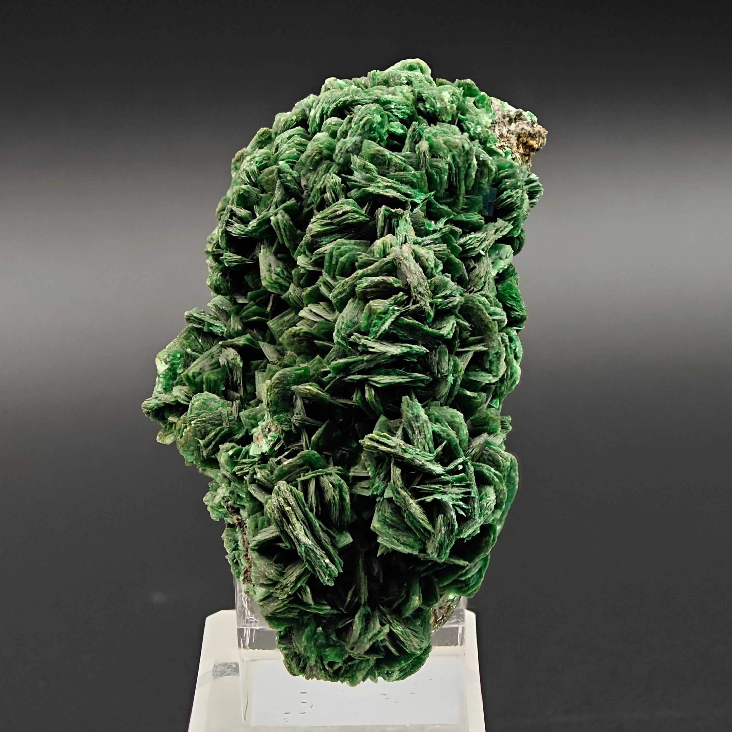 URANIUM TORBERNITE – Extremely Rare Green Crystal Cluster from Shinkolobwe Mine, DR Congo