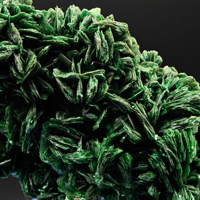 Detail of radiating torbernite crystal blades, Shinkolobwe Mine, DR Congo