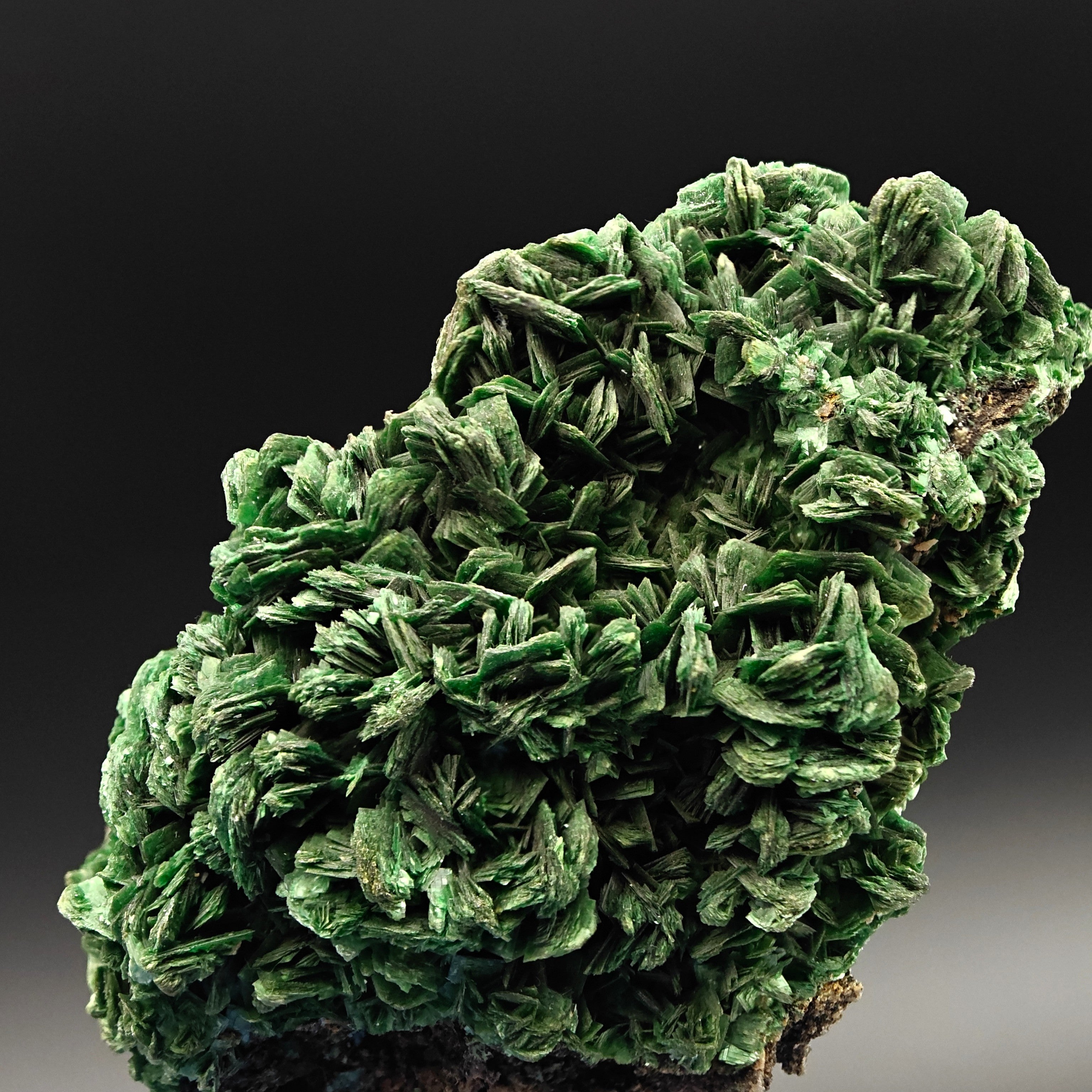 URANIUM TORBERNITE – Extremely Rare Green Crystal Cluster from Shinkolobwe Mine, DR Congo