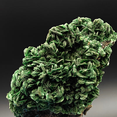 Side view of torbernite crystal cluster, Shinkolobwe Mine, DR Congo