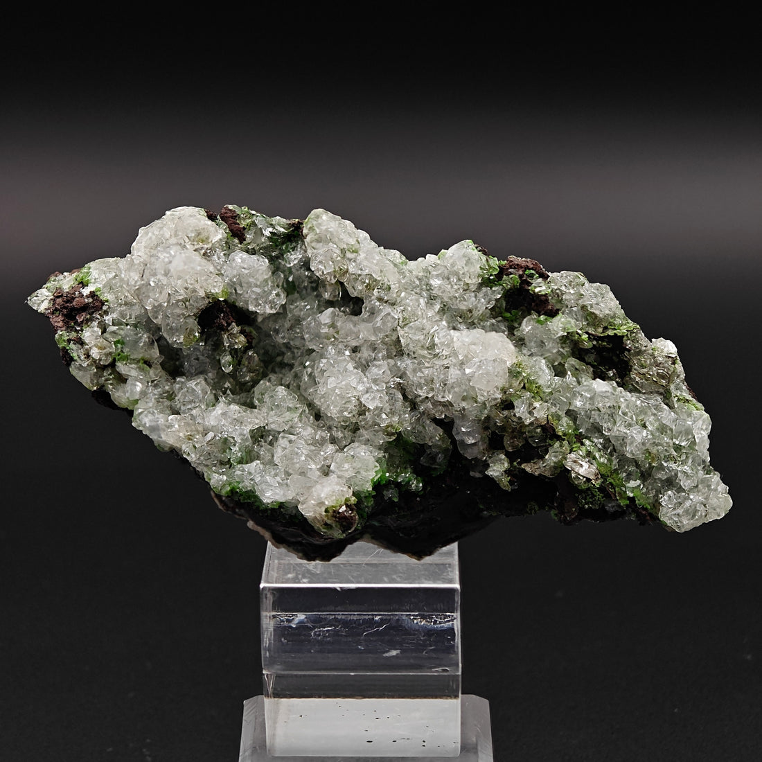 CONICHALCITE & CALCITE – Vibrant Green Contrast from Ojuela Mine, Mexico