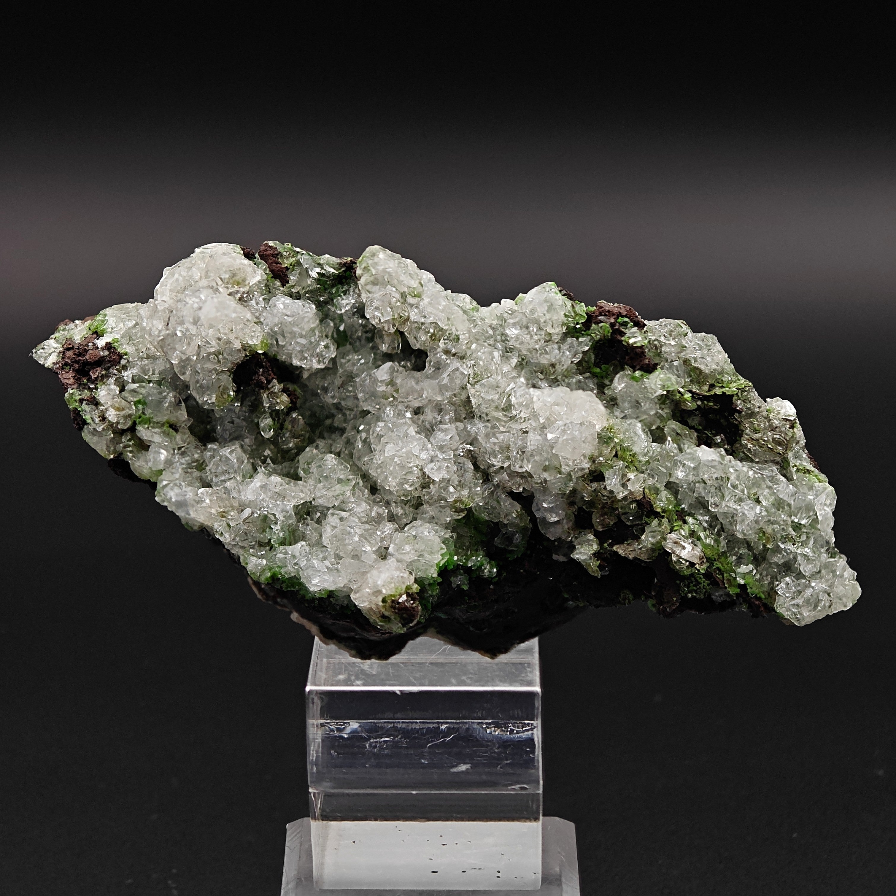 CONICHALCITE & CALCITE – Vibrant Green Contrast from Ojuela Mine, Mexico