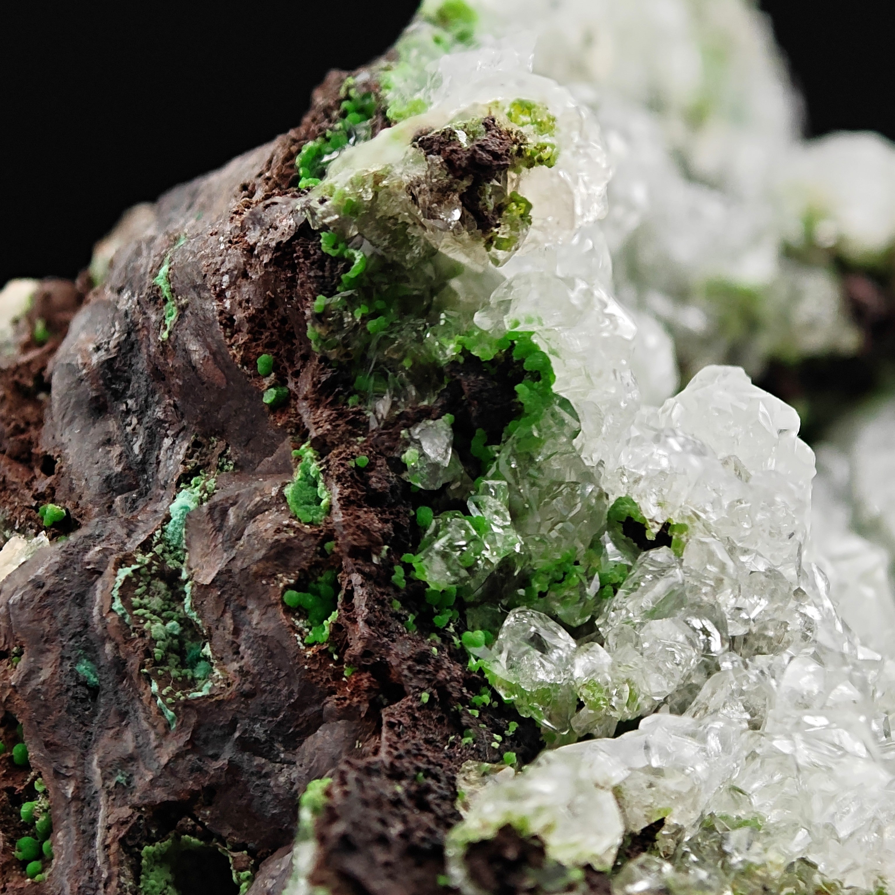 CONICHALCITE & CALCITE – Vibrant Green Contrast from Ojuela Mine, Mexico