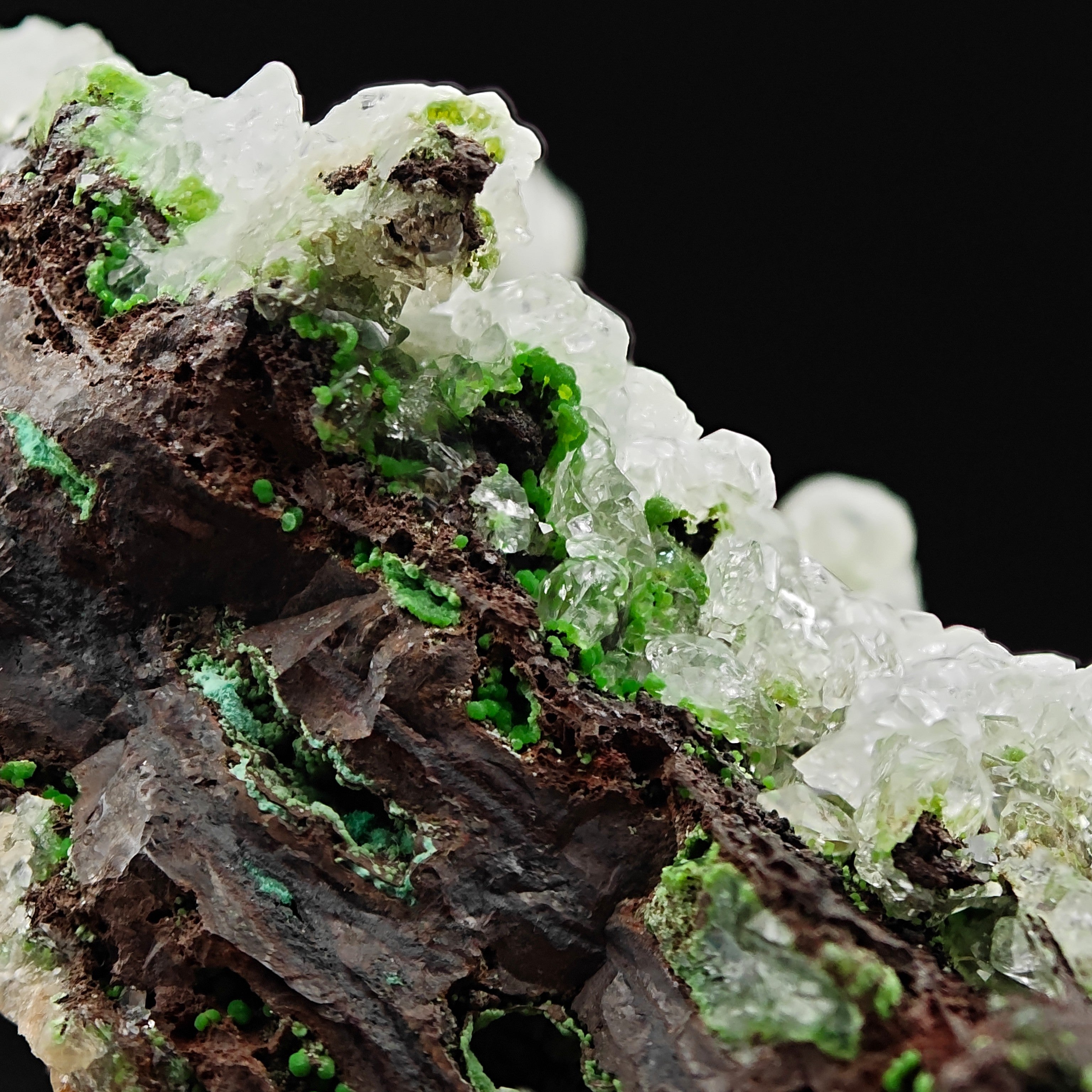 CONICHALCITE & CALCITE – Vibrant Green Contrast from Ojuela Mine, Mexico