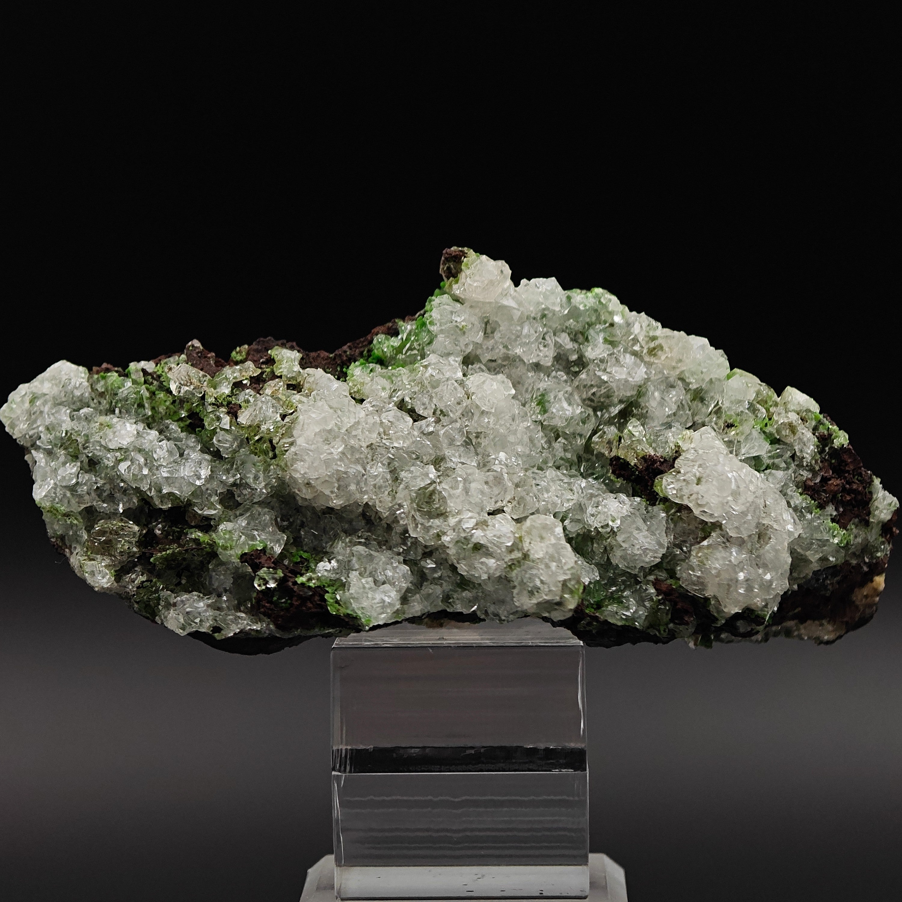 CONICHALCITE & CALCITE – Vibrant Green Contrast from Ojuela Mine, Mexico