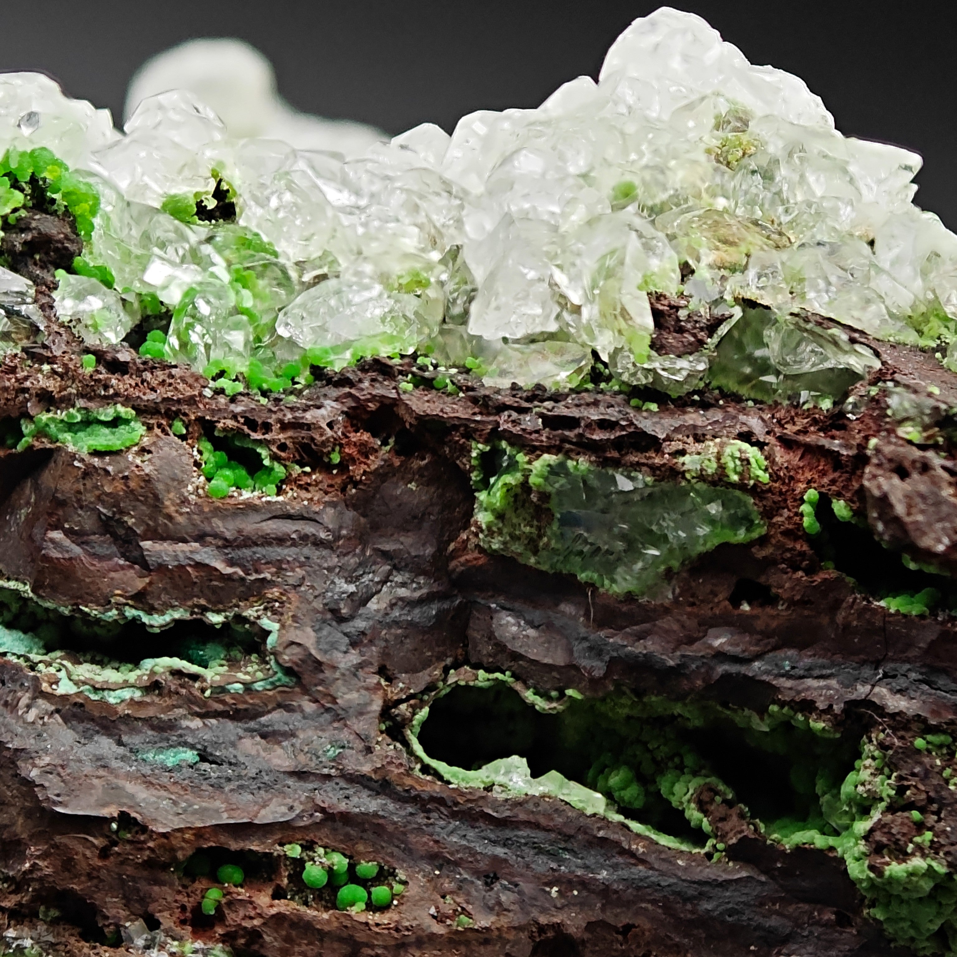 CONICHALCITE & CALCITE – Vibrant Green Contrast from Ojuela Mine, Mexico