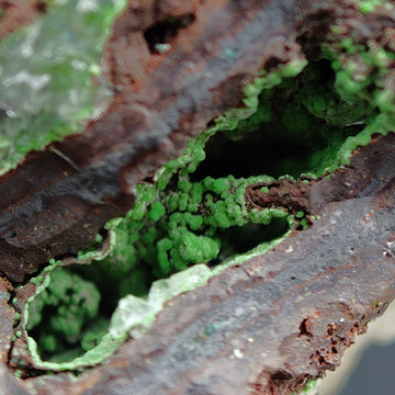 CONICHALCITE & CALCITE – Vibrant Green Contrast from Ojuela Mine, Mexico