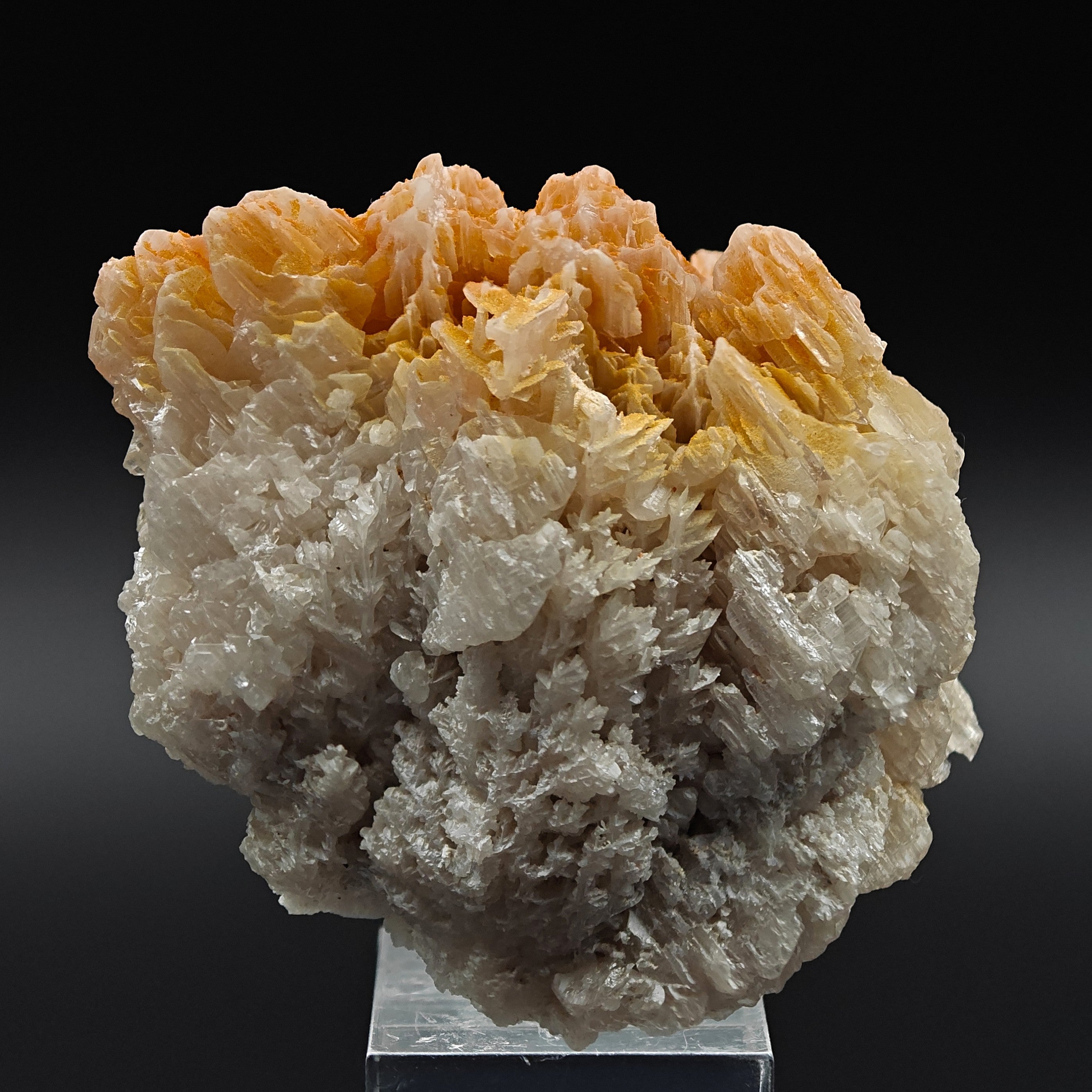 MIMETITE & CERUSSITE – Orange on White Reticulated Snowflake Twin, Iran