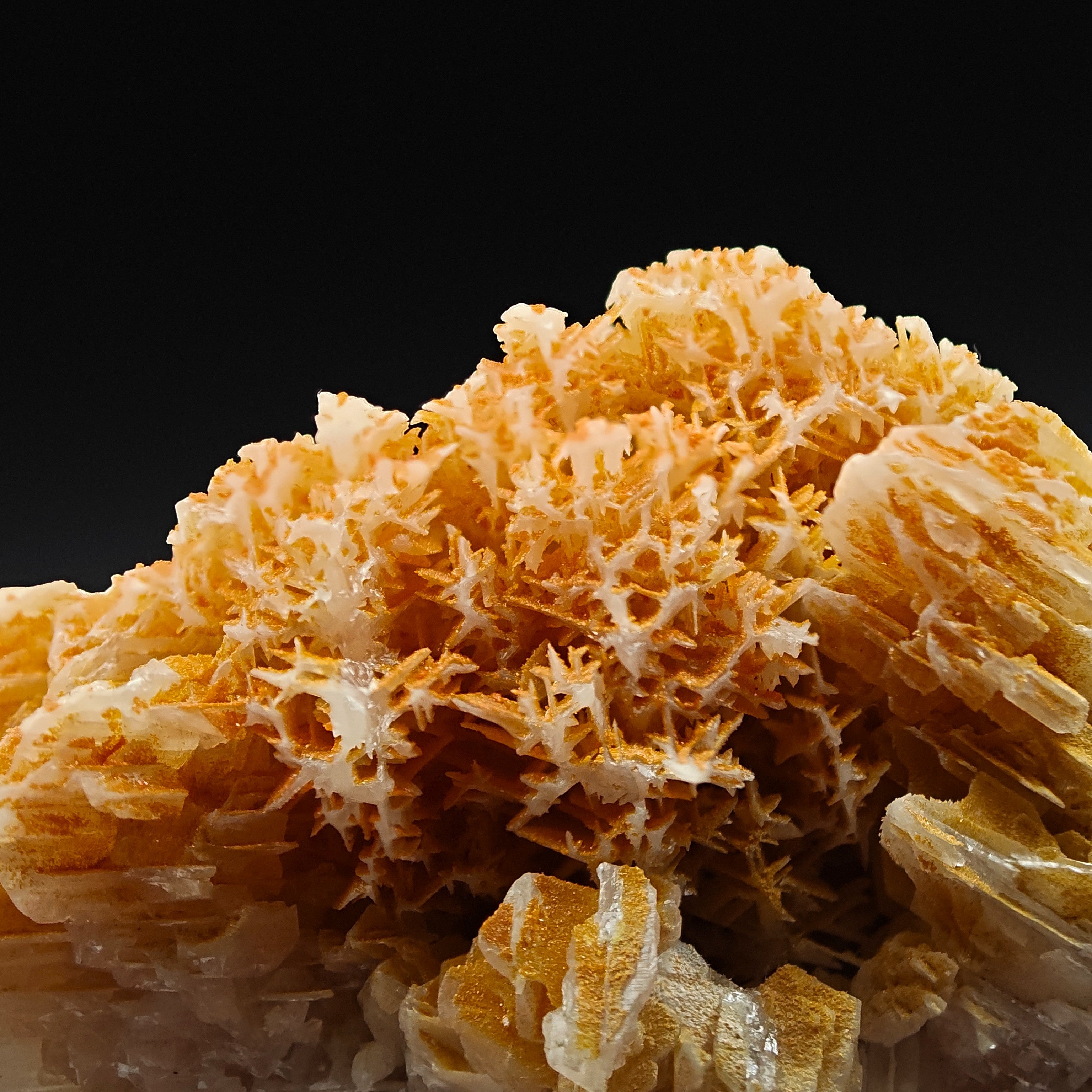 MIMETITE & CERUSSITE – Orange on White Reticulated Snowflake Twin, Iran