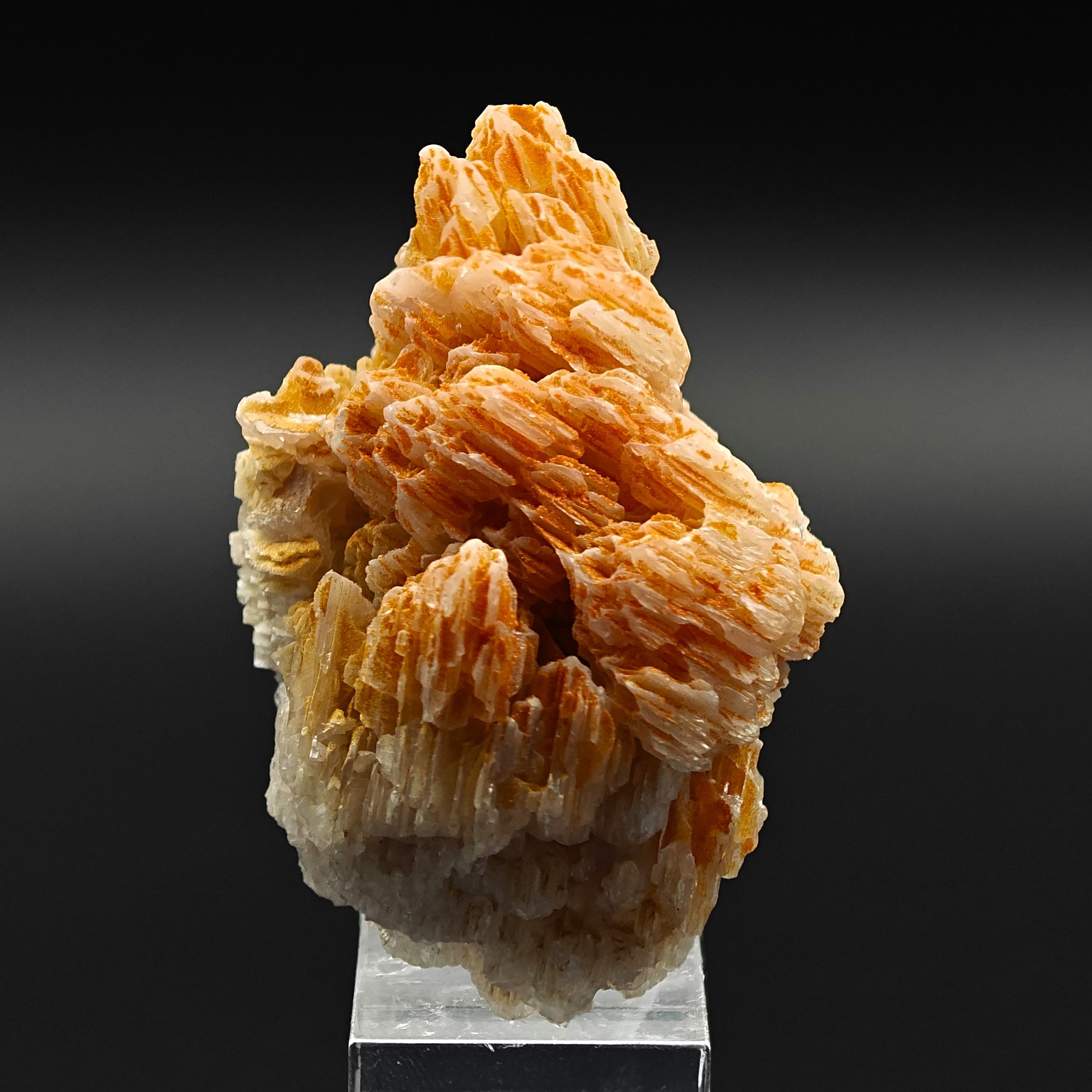 MIMETITE & CERUSSITE – Orange on White Reticulated Snowflake Twin, Iran