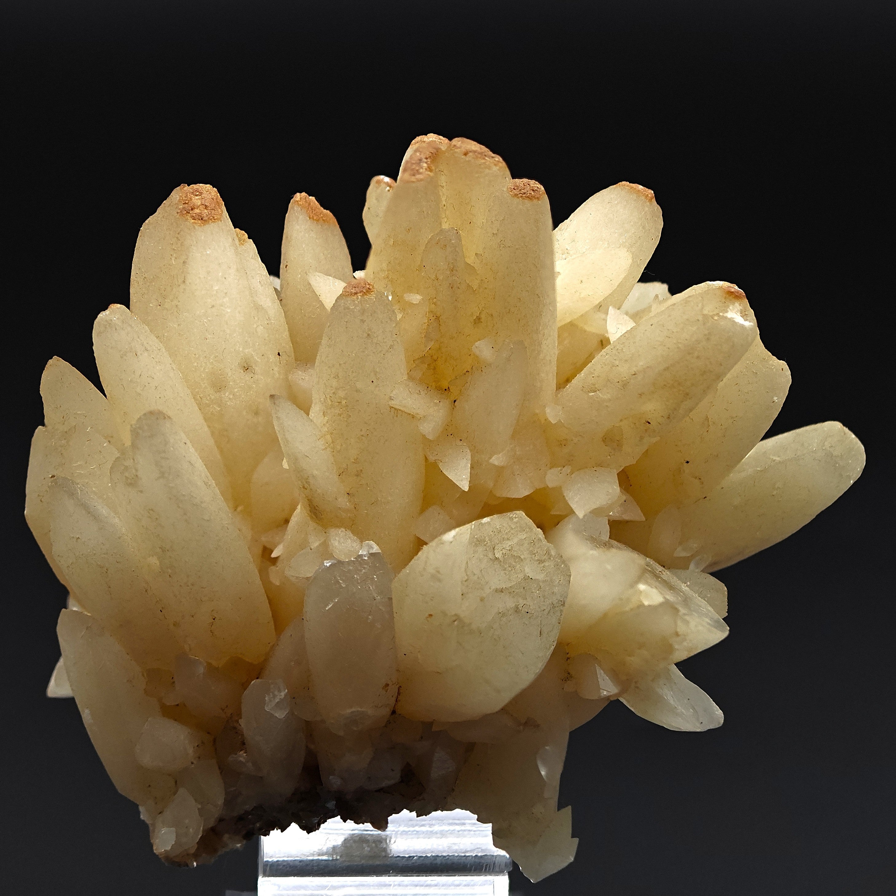 CALCITE – Elegant Crystal Cluster, San Giovanni Mine, Sardinia, Italy
