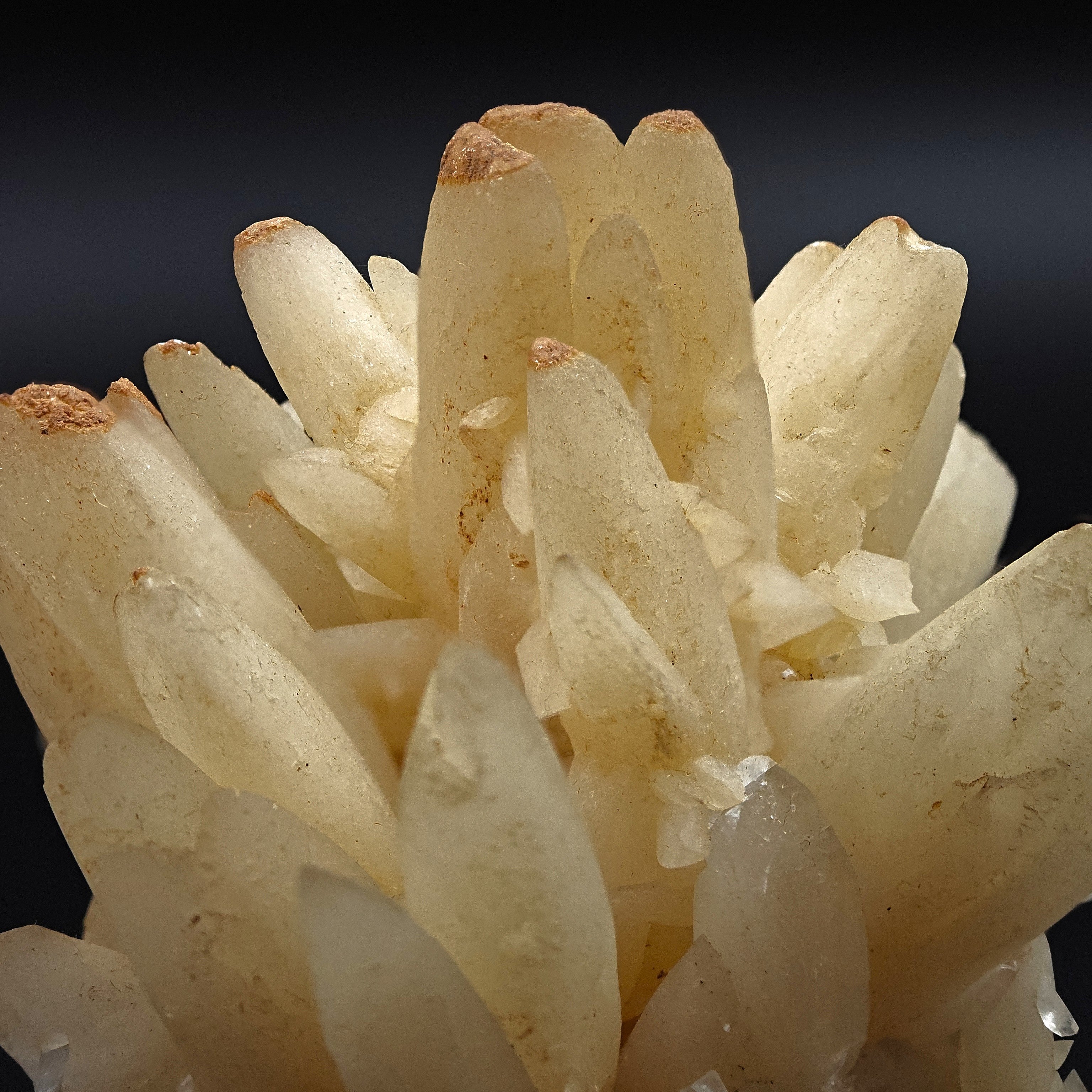 CALCITE – Elegant Crystal Cluster, San Giovanni Mine, Sardinia, Italy