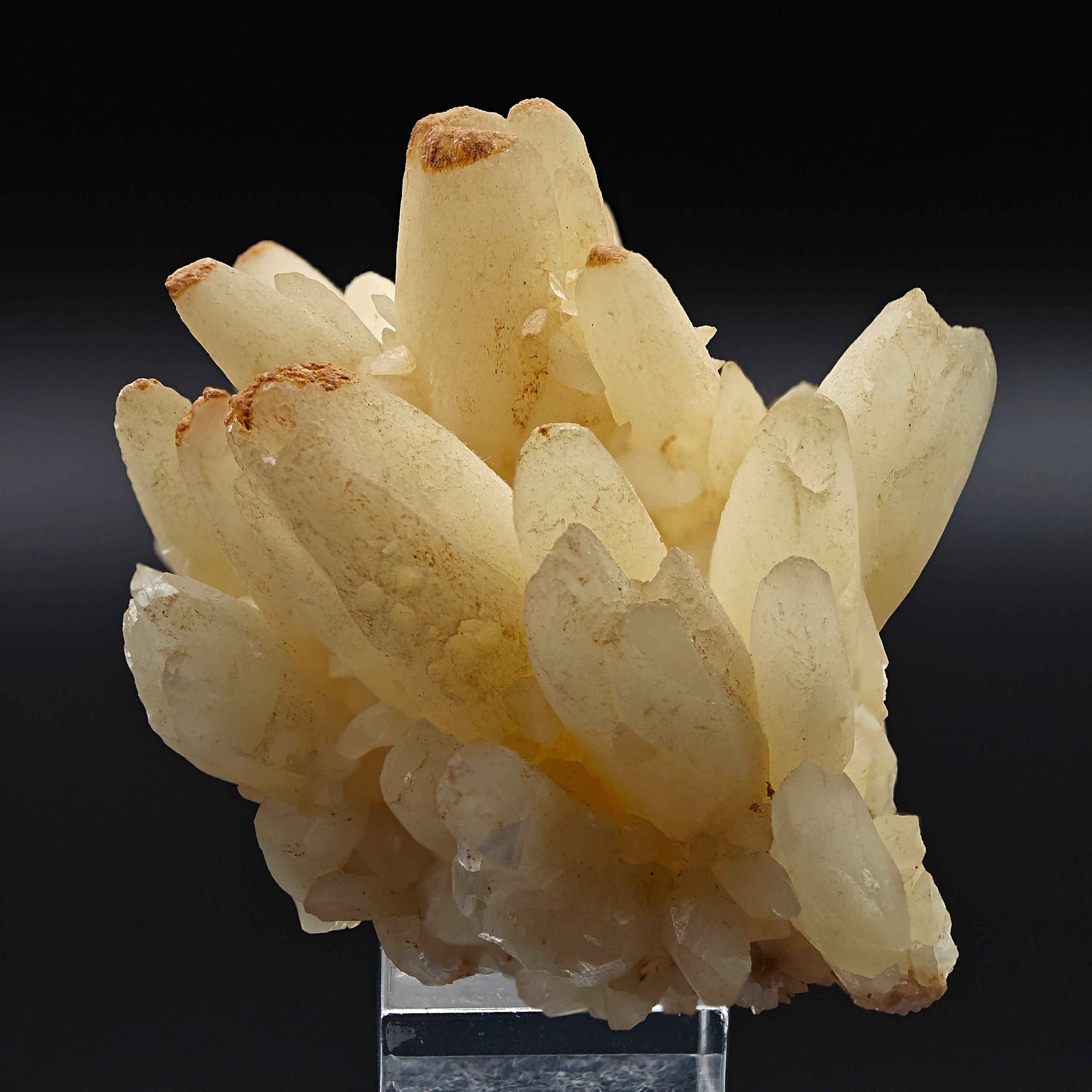 CALCITE – Elegant Crystal Cluster, San Giovanni Mine, Sardinia, Italy
