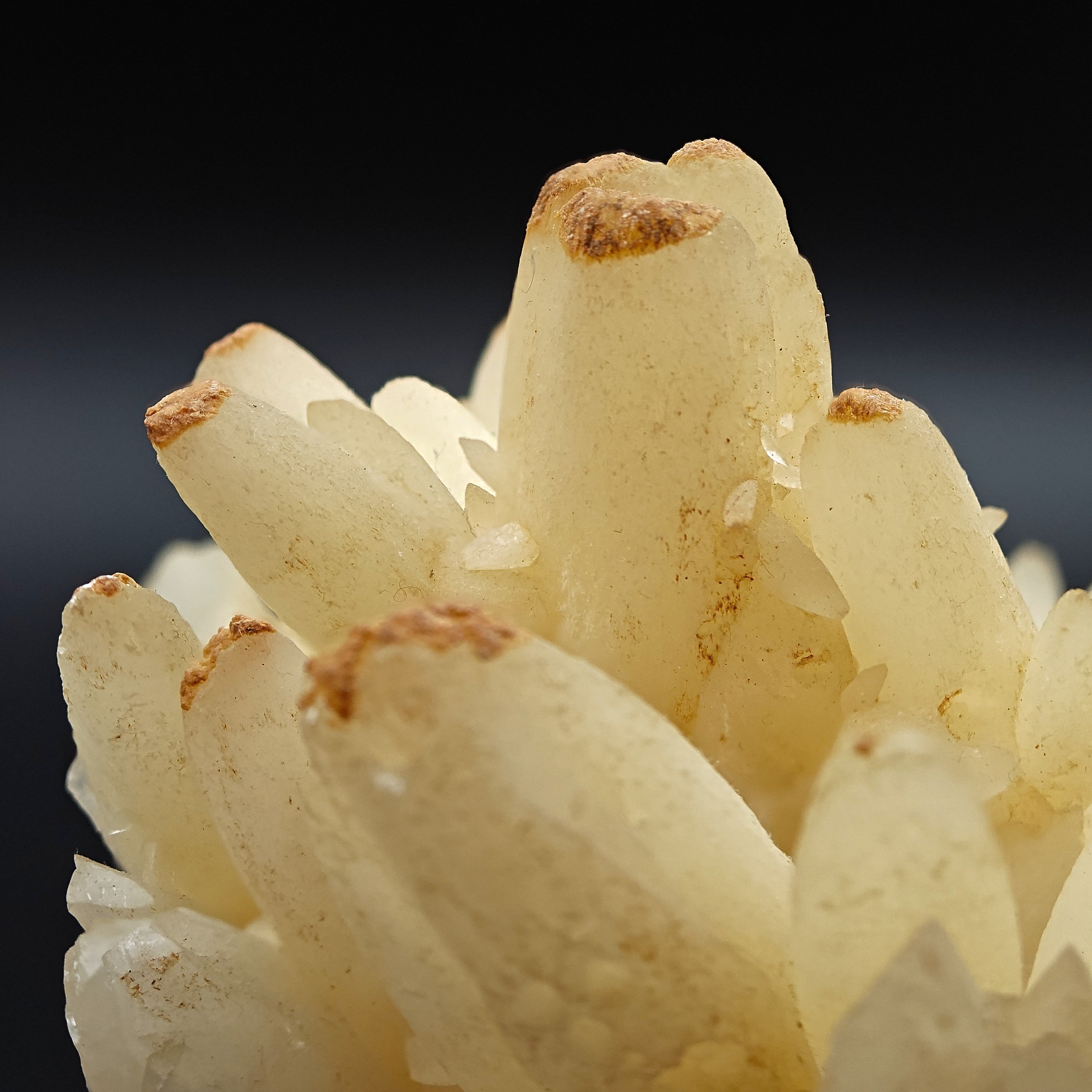 CALCITE – Elegant Crystal Cluster, San Giovanni Mine, Sardinia, Italy