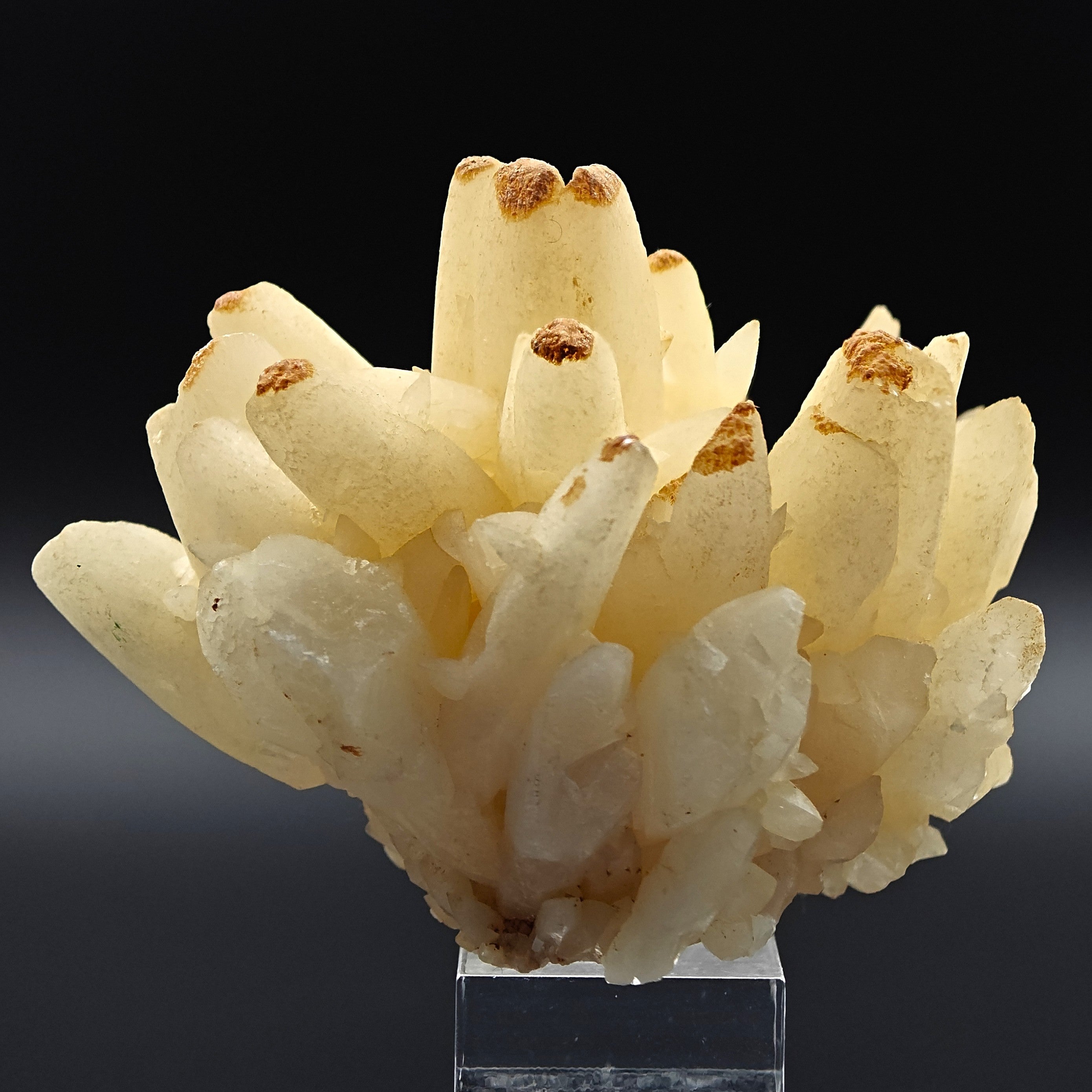 CALCITE – Elegant Crystal Cluster, San Giovanni Mine, Sardinia, Italy