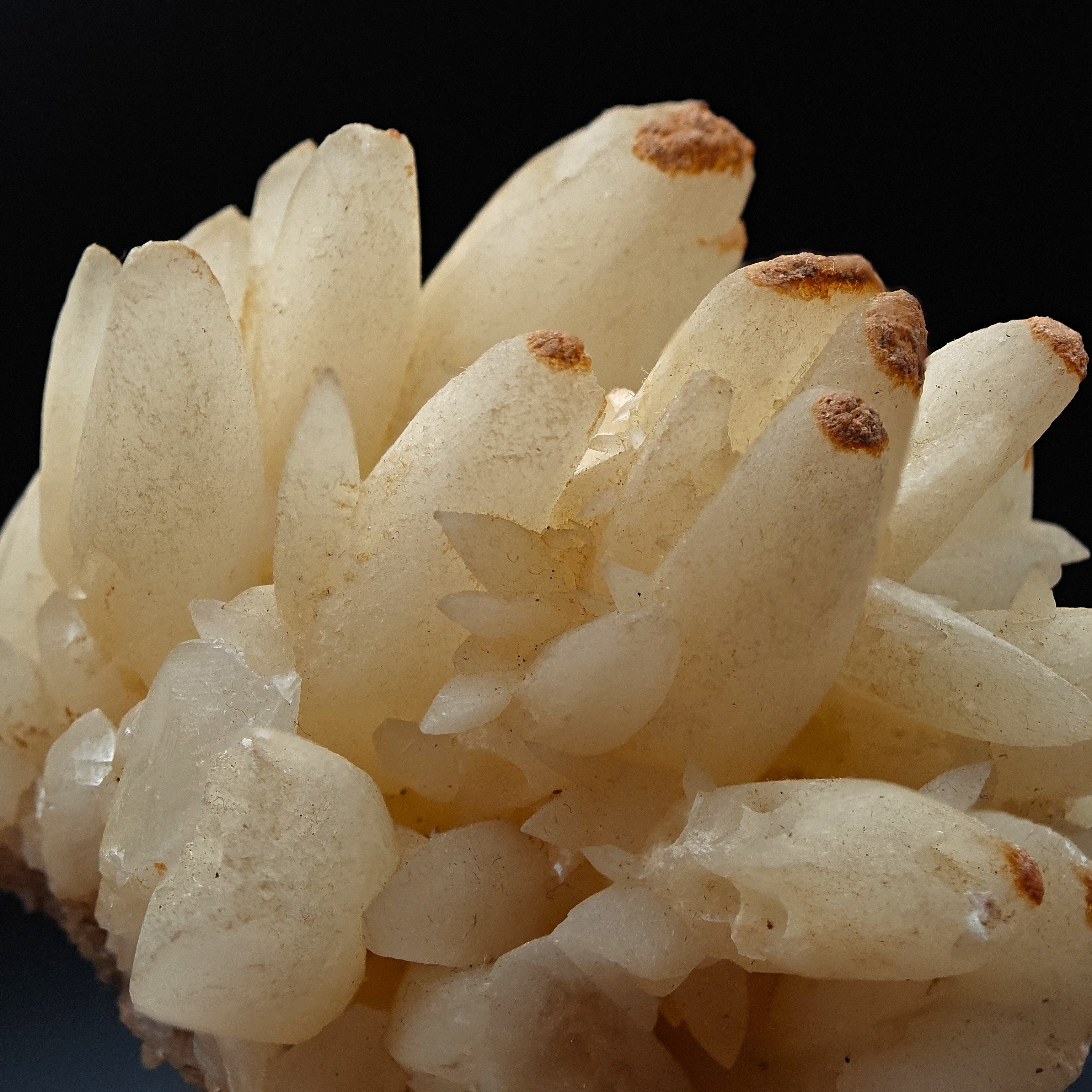 CALCITE – Elegant Crystal Cluster, San Giovanni Mine, Sardinia, Italy