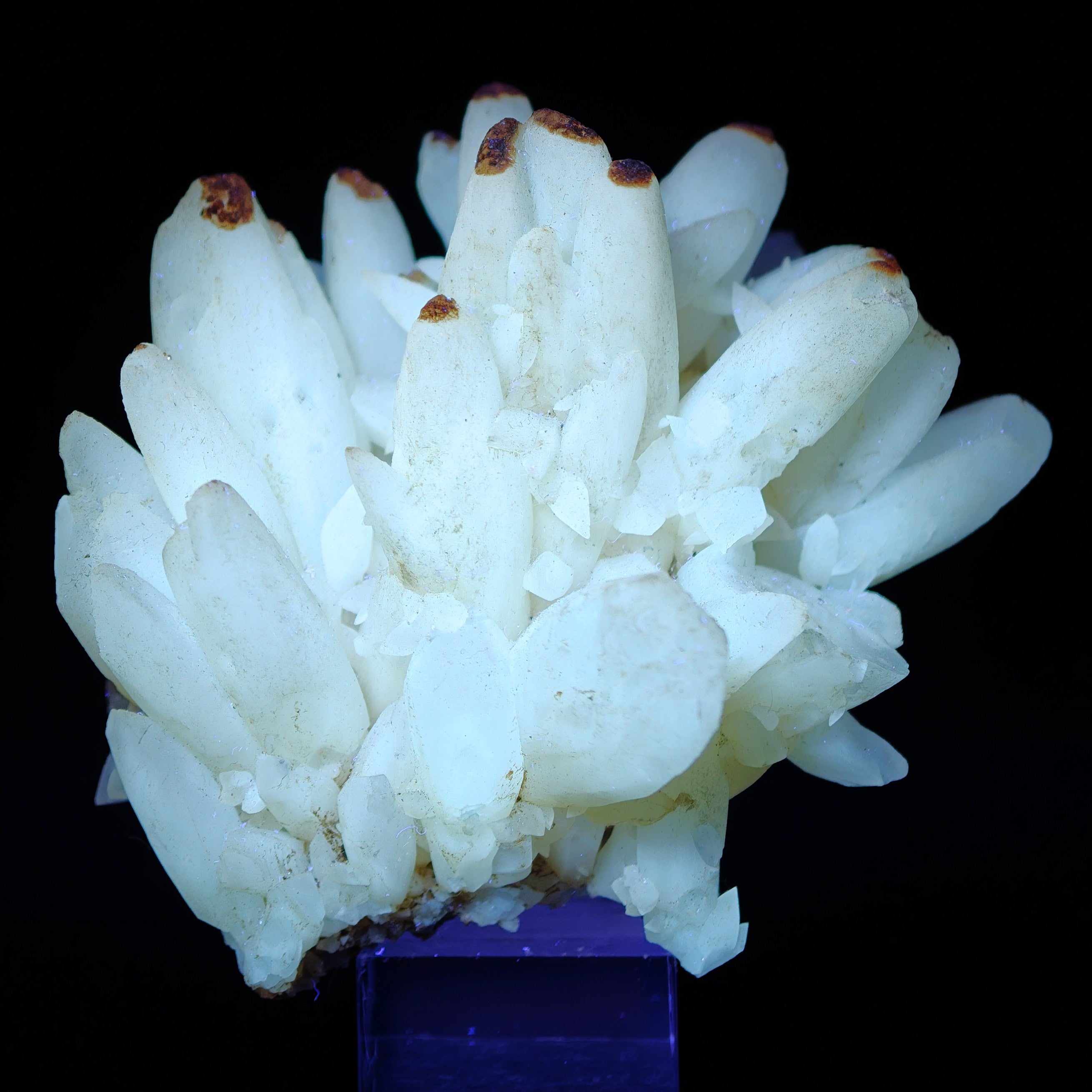 CALCITE – Elegant Crystal Cluster, San Giovanni Mine, Sardinia, Italy