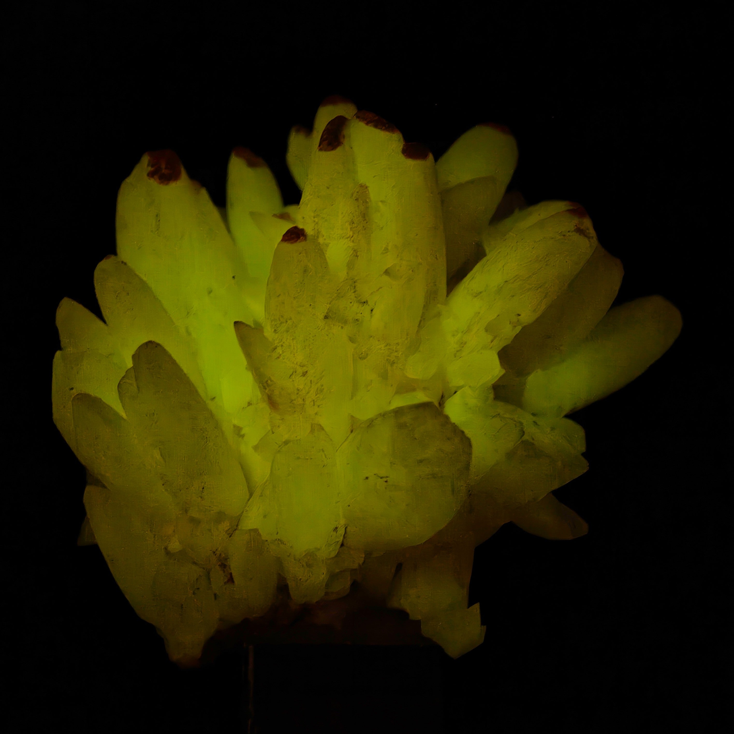 CALCITE – Elegant Crystal Cluster, San Giovanni Mine, Sardinia, Italy