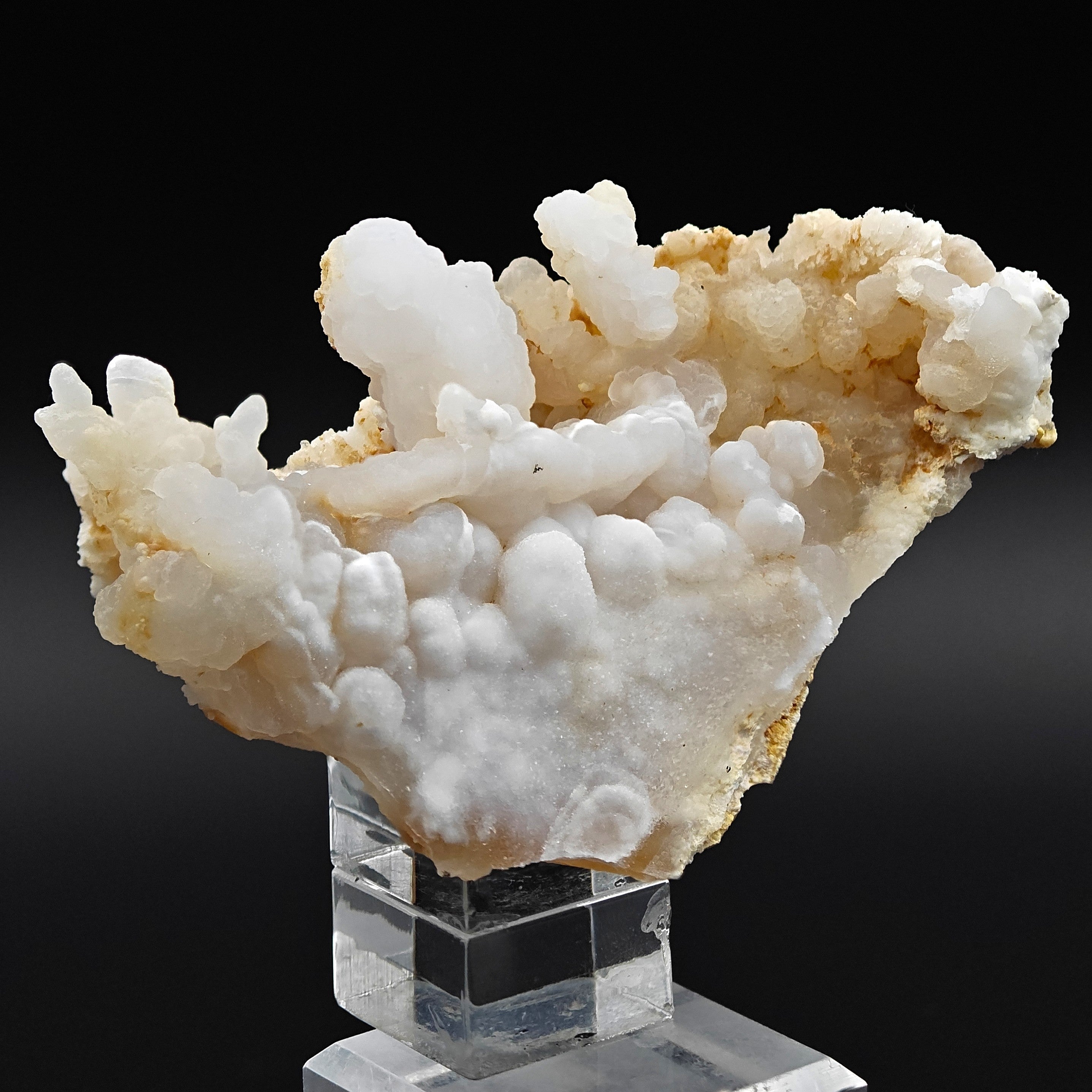 CHALCEDONY – Shiny Botryoidal Texture from Sant’Antioco, Sardinia, Italy