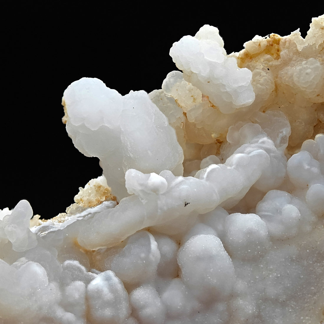 CHALCEDONY – Shiny Botryoidal Texture from Sant’Antioco, Sardinia, Italy