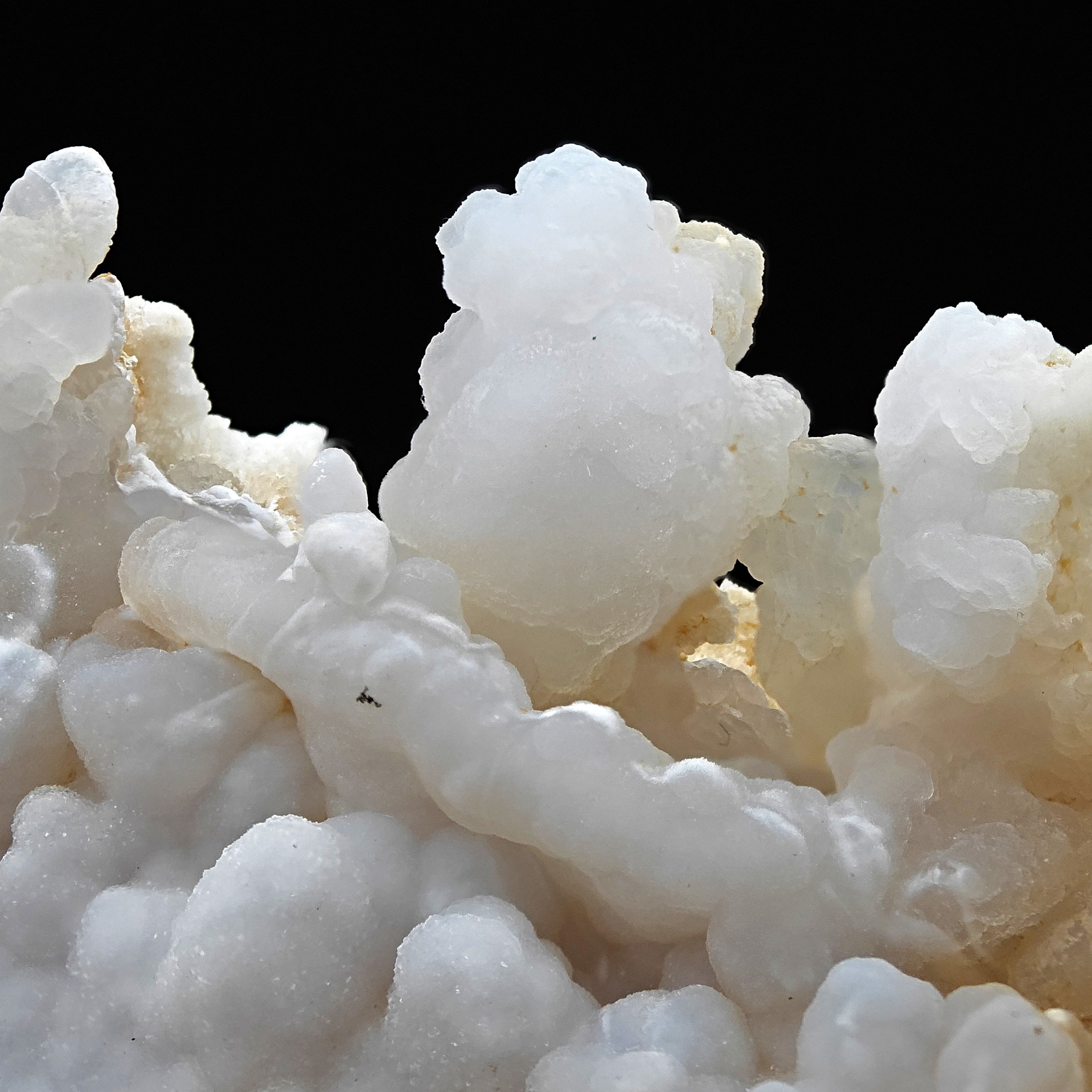 CHALCEDONY – Shiny Botryoidal Texture from Sant’Antioco, Sardinia, Italy