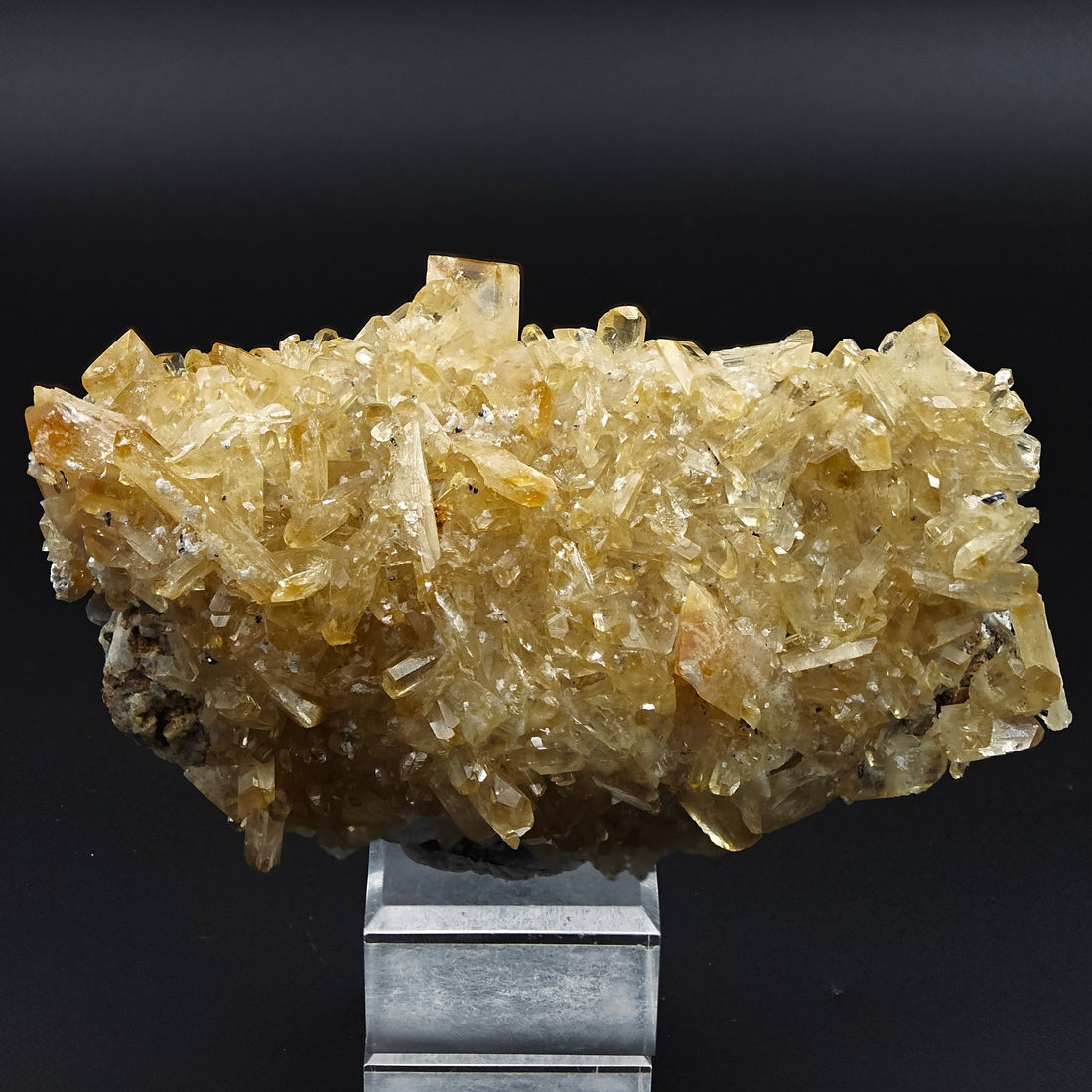 BARYTE – Honey-Yellow Chisel-Shaped Crystals from Sardinia, Italy