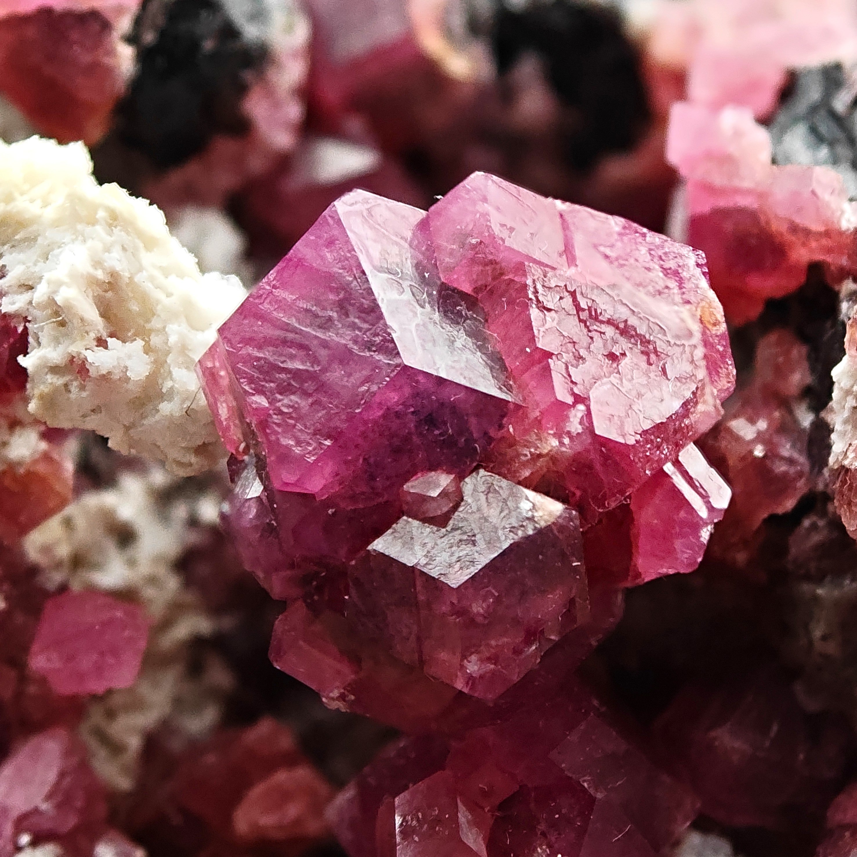 ROSOLITE GARNET – Vivid Pink Grossular Crystals, Sierra de Cruces, Mexico