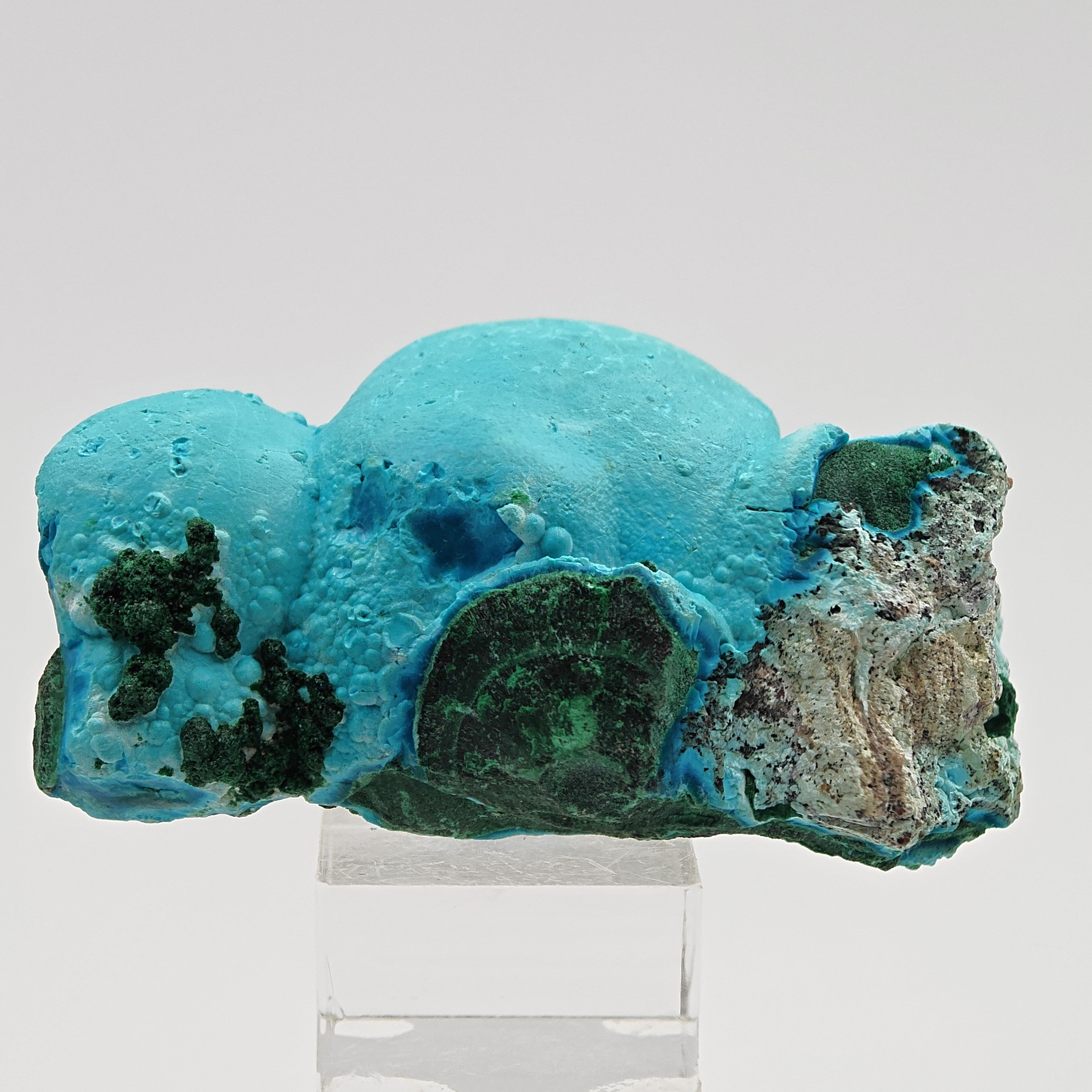 CHRYSOCOLLA – Candy-Like Blue Botryoidal Crystals on Malachite, Congo