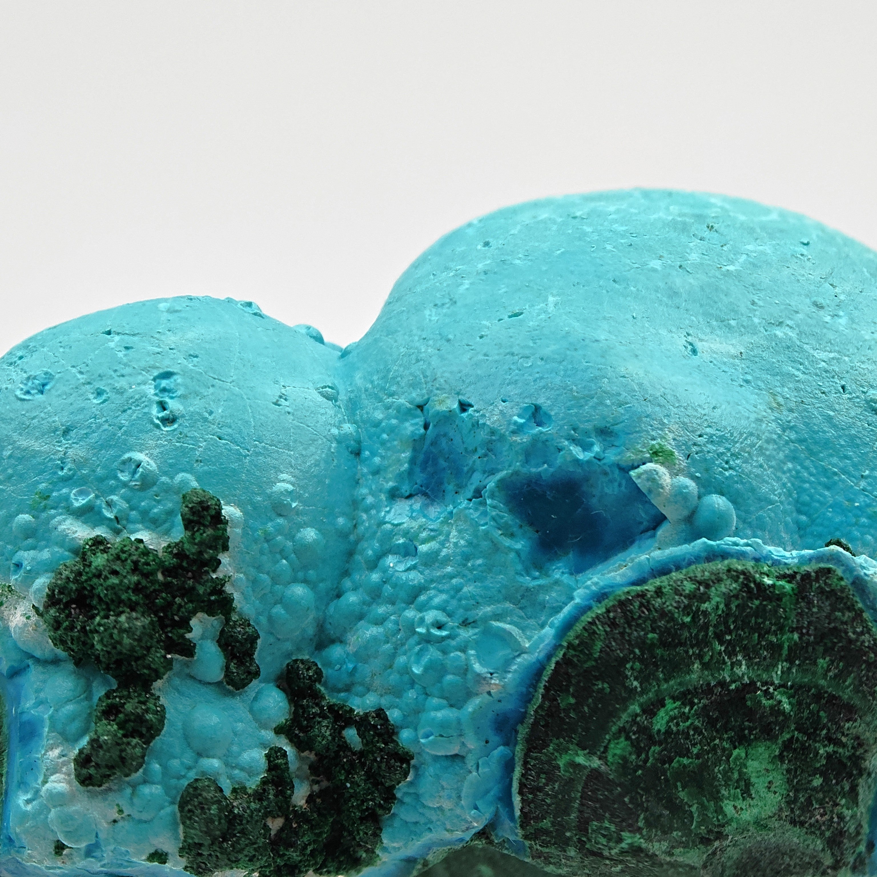 CHRYSOCOLLA – Candy-Like Blue Botryoidal Crystals on Malachite, Congo