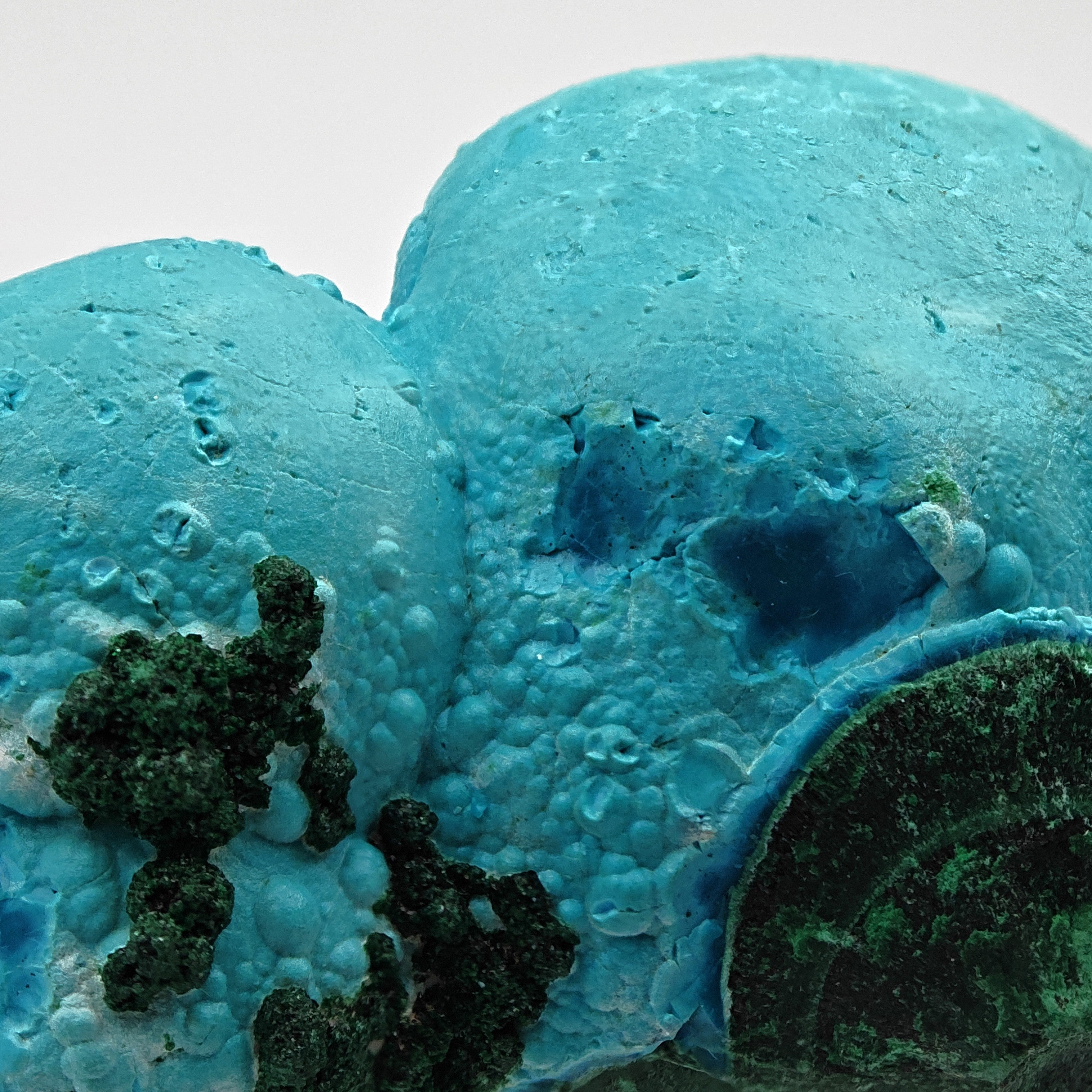 CHRYSOCOLLA – Candy-Like Blue Botryoidal Crystals on Malachite, Congo