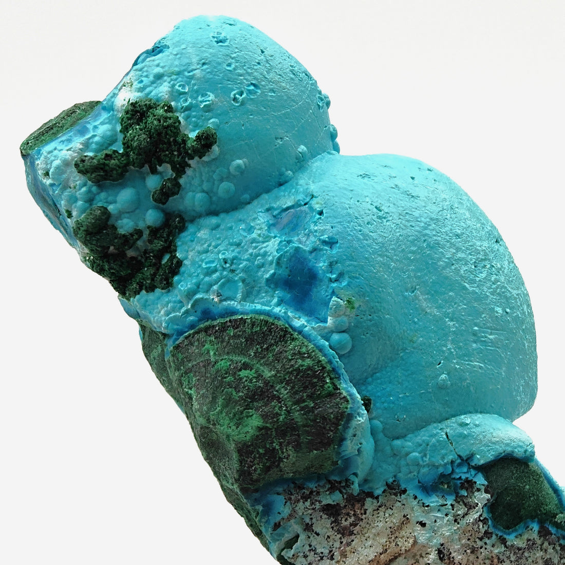 CHRYSOCOLLA – Candy-Like Blue Botryoidal Crystals on Malachite, Congo