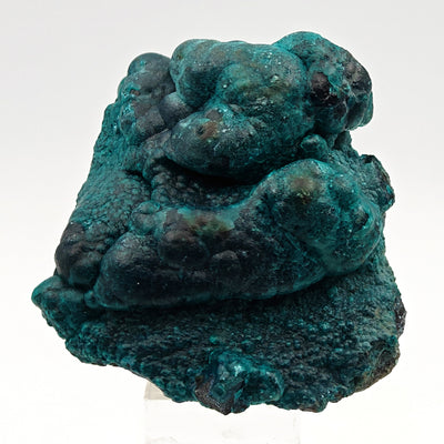 Chrysocolla and heterogenite specimen on acrylic stand, Lubumbashi, DR Congo