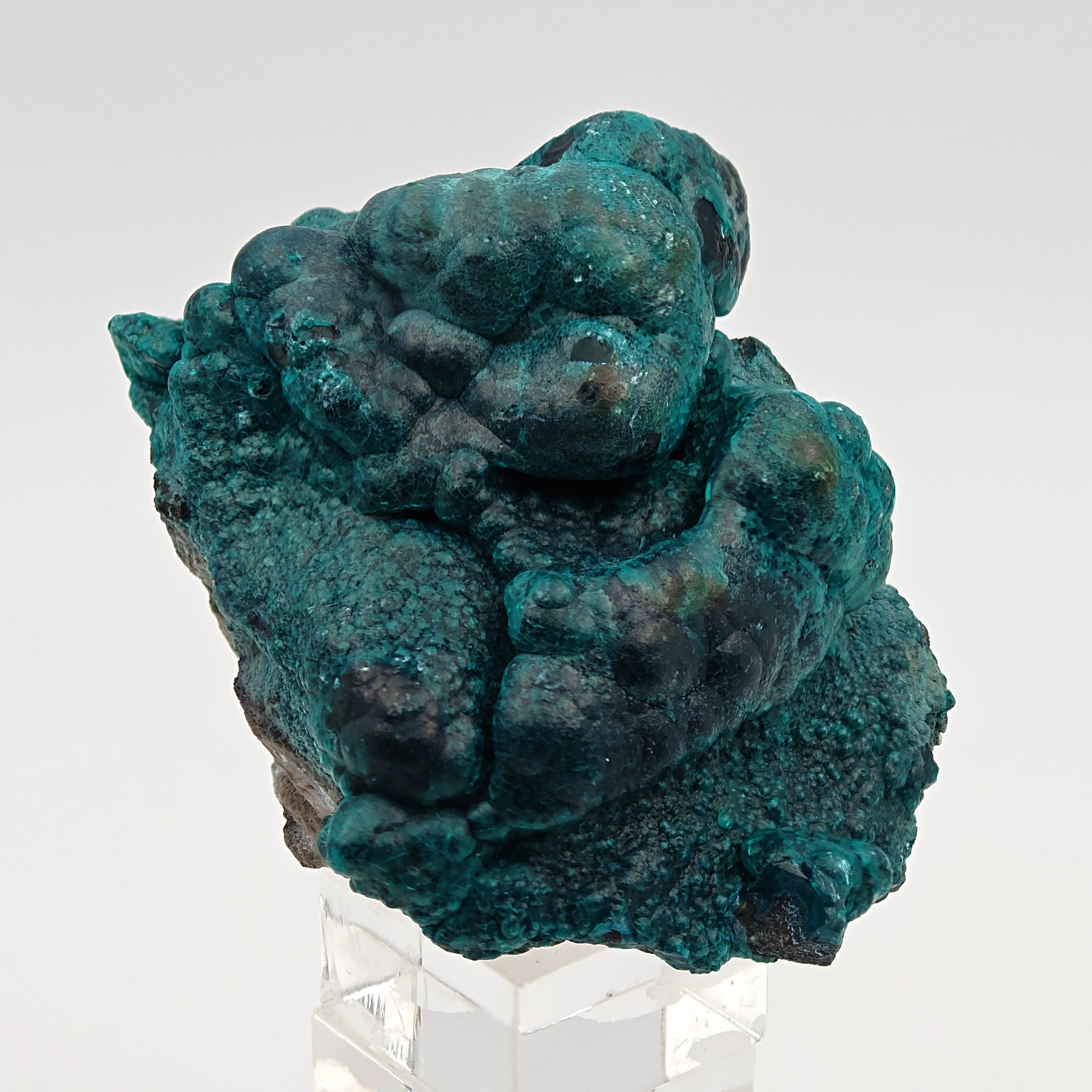 CHRYSOCOLLA & HETEROGENITE – Azure-Blue on Black, Star Mine, DR Congo
