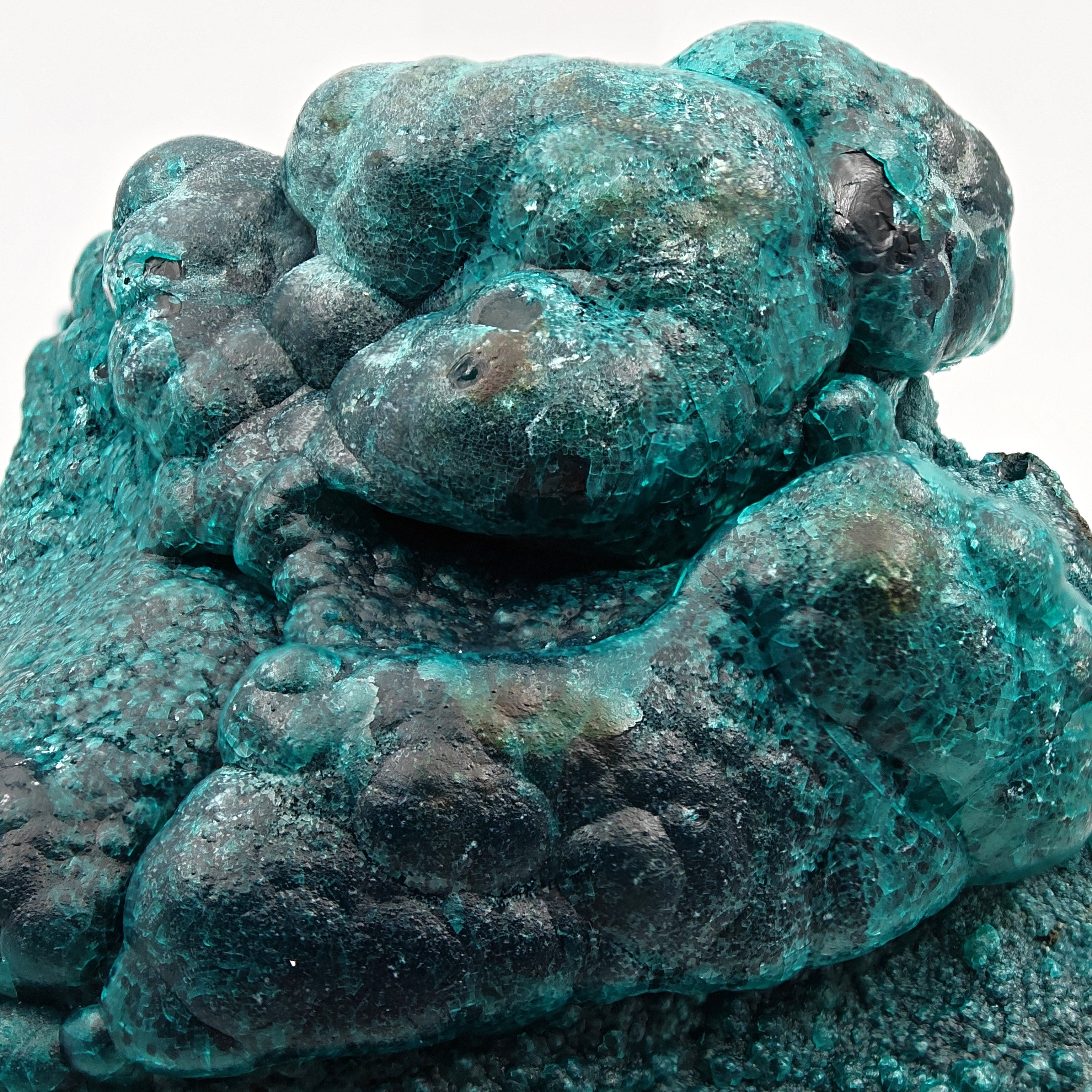 CHRYSOCOLLA & HETEROGENITE – Azure-Blue on Black, Star Mine, DR Congo