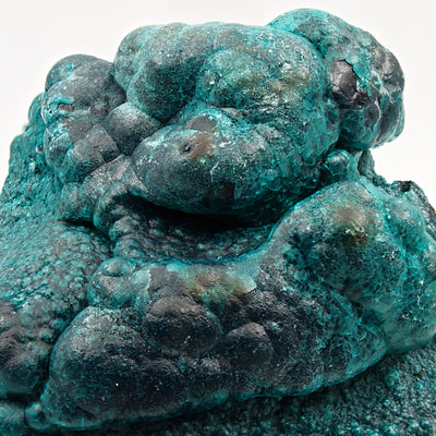 Detail of blue-green chrysocolla botryoids with dark heterogenite, Star of the Congo Mine
