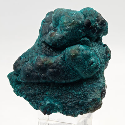 Chrysocolla and heterogenite specimen showing rounded botryoidal surface, DR Congo
