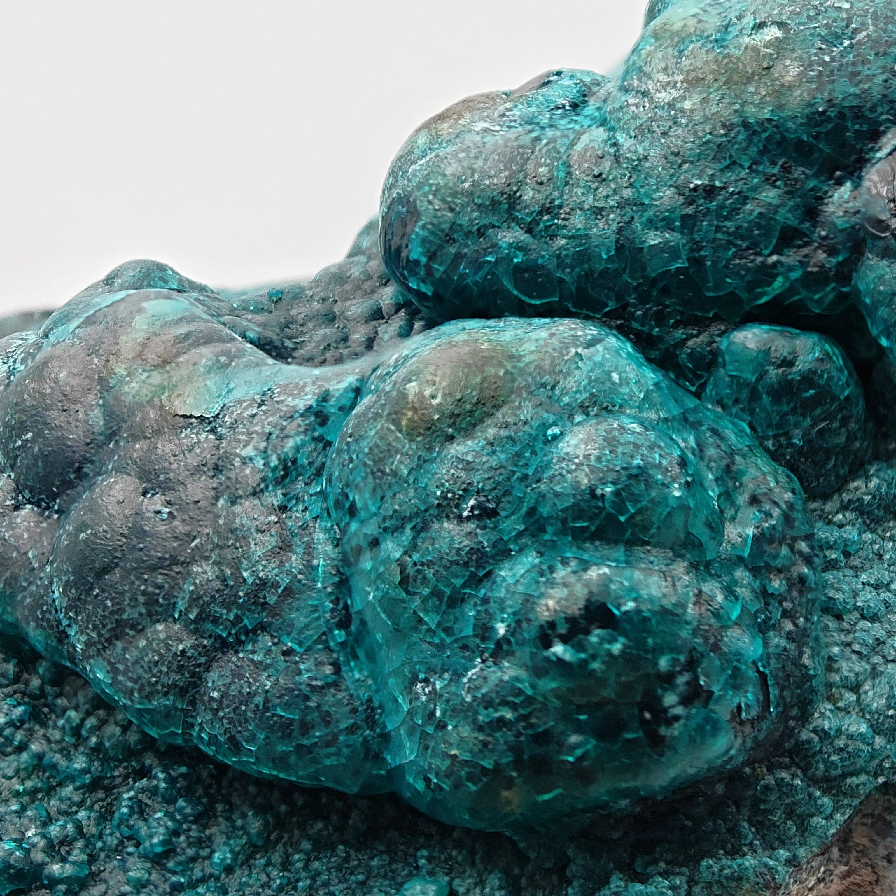 CHRYSOCOLLA & HETEROGENITE – Azure-Blue on Black, Star Mine, DR Congo