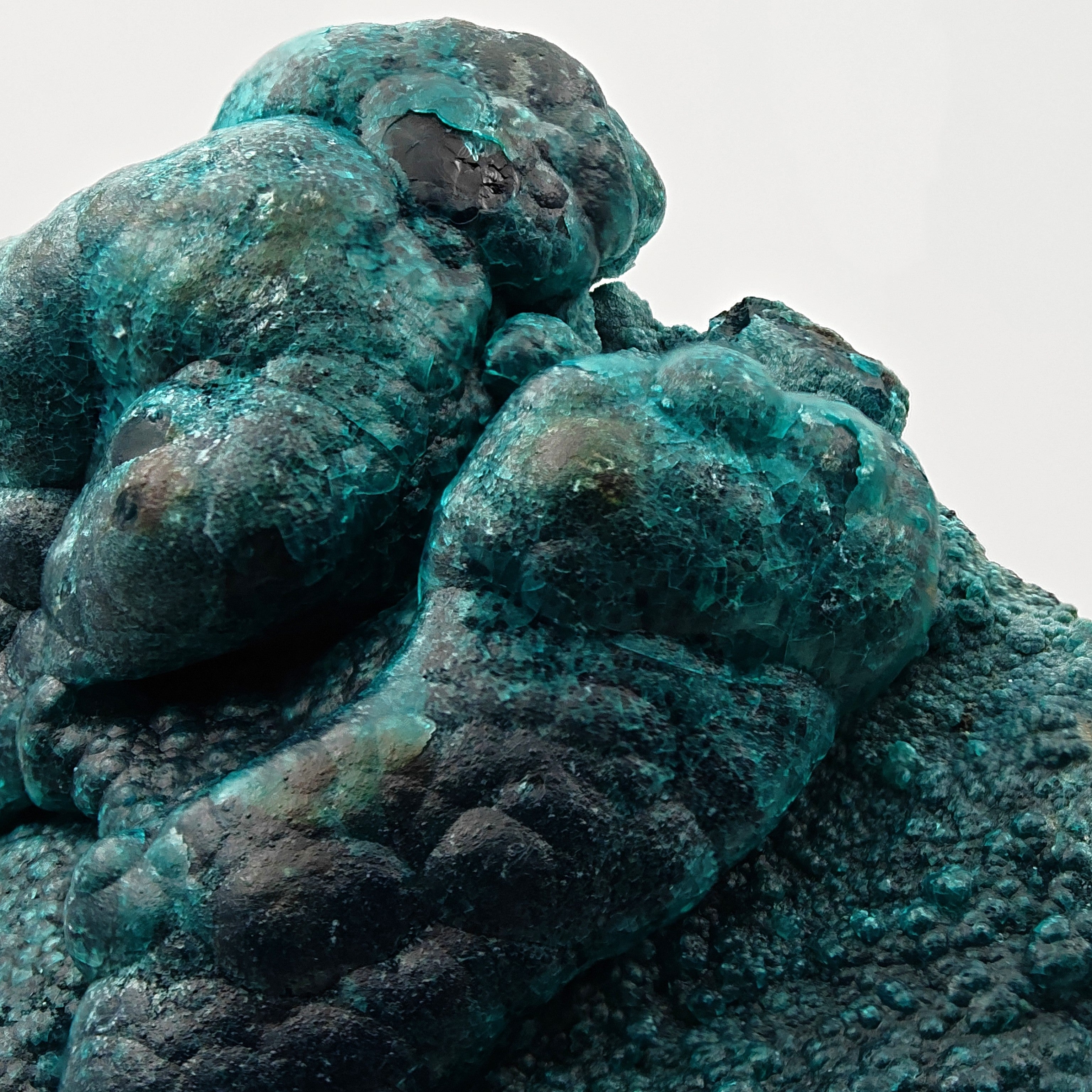 CHRYSOCOLLA & HETEROGENITE – Azure-Blue on Black, Star Mine, DR Congo