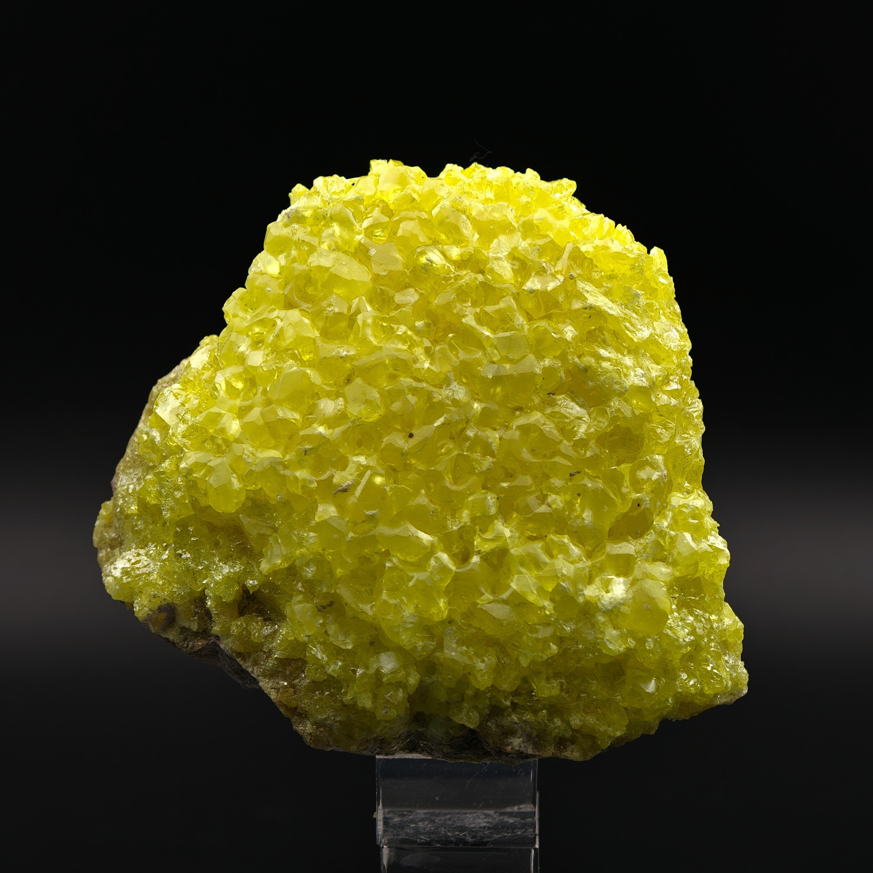 SULFUR – Bright Yellow Crystal Cluster, El Desierto Mine, Bolivia