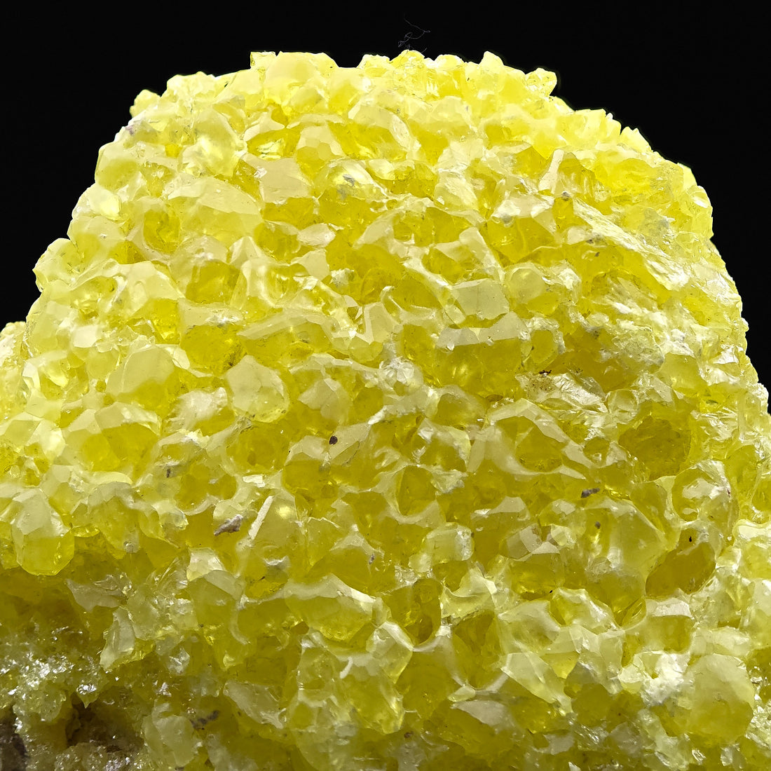SULFUR – Bright Yellow Crystal Cluster, El Desierto Mine, Bolivia