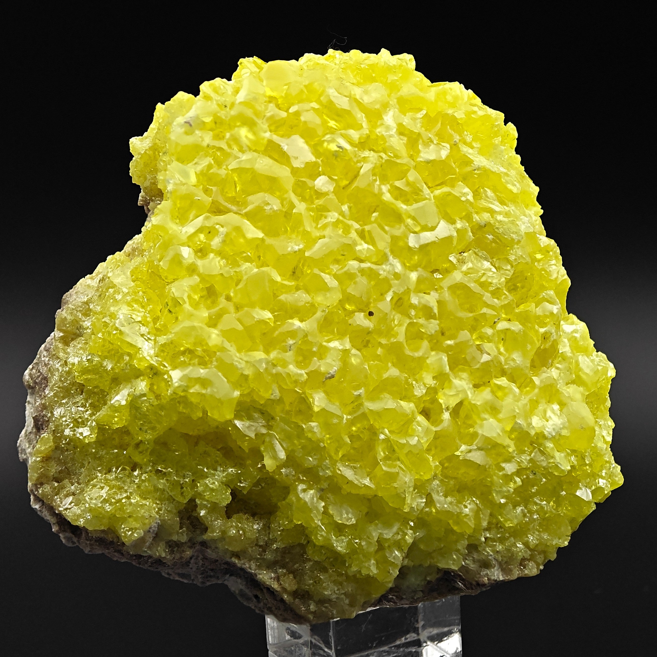 SULFUR – Bright Yellow Crystal Cluster, El Desierto Mine, Bolivia