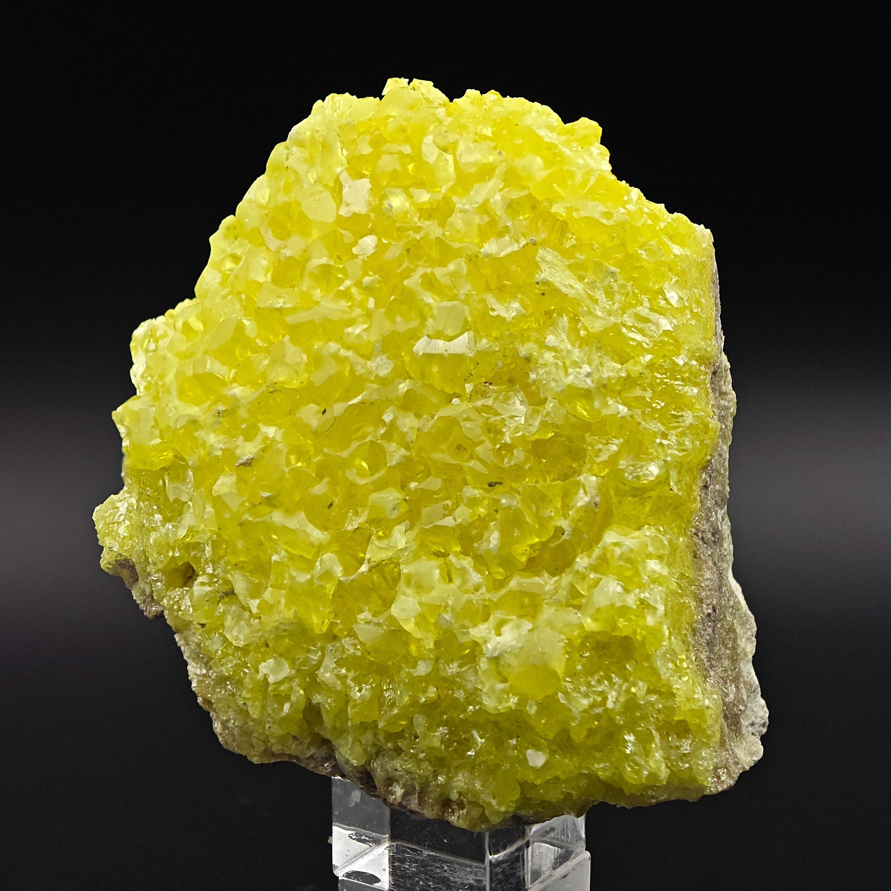 SULFUR – Bright Yellow Crystal Cluster, El Desierto Mine, Bolivia